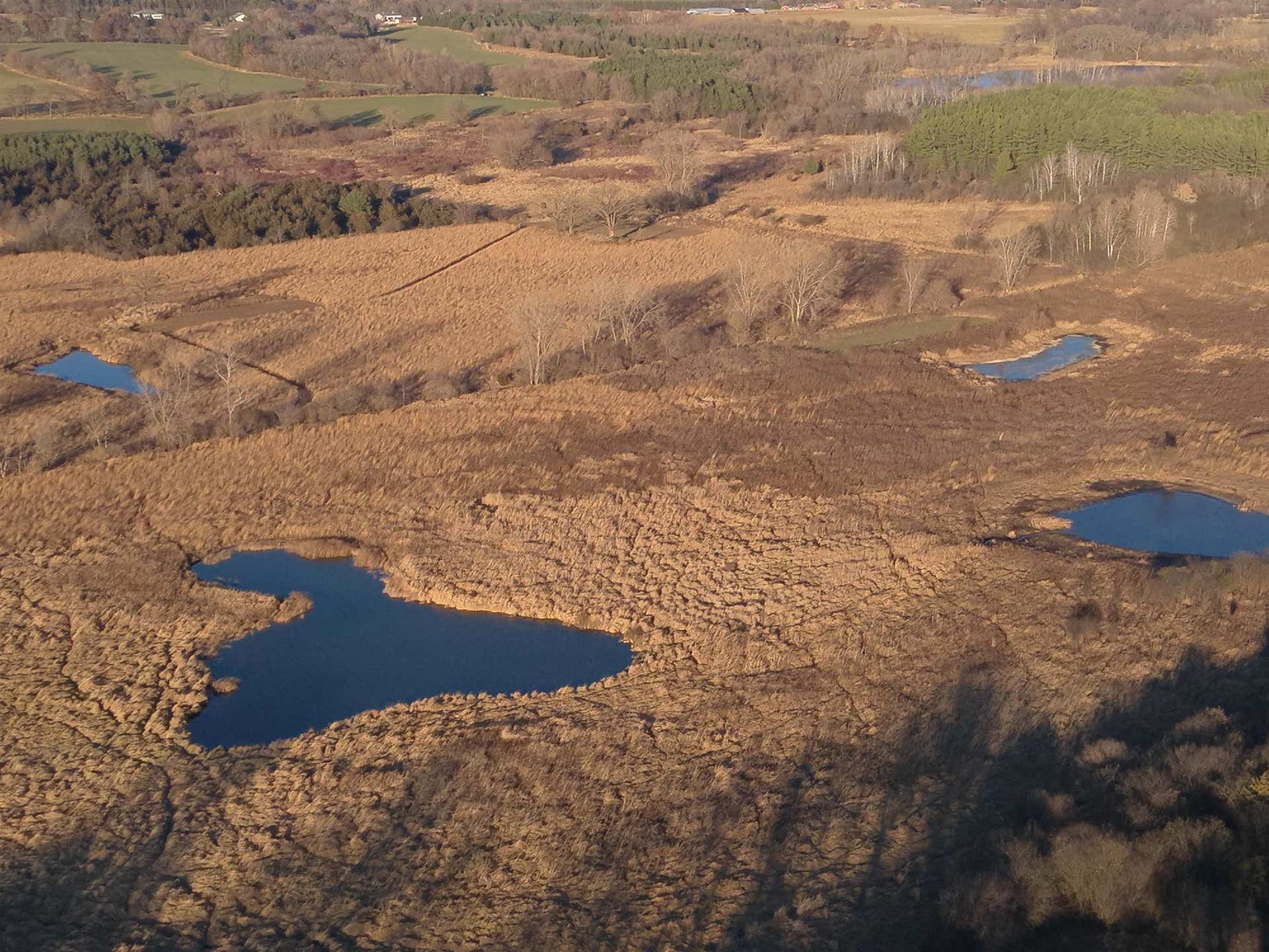 92+/- acres State Road 49 Acres, Brooklyn, WI 54941