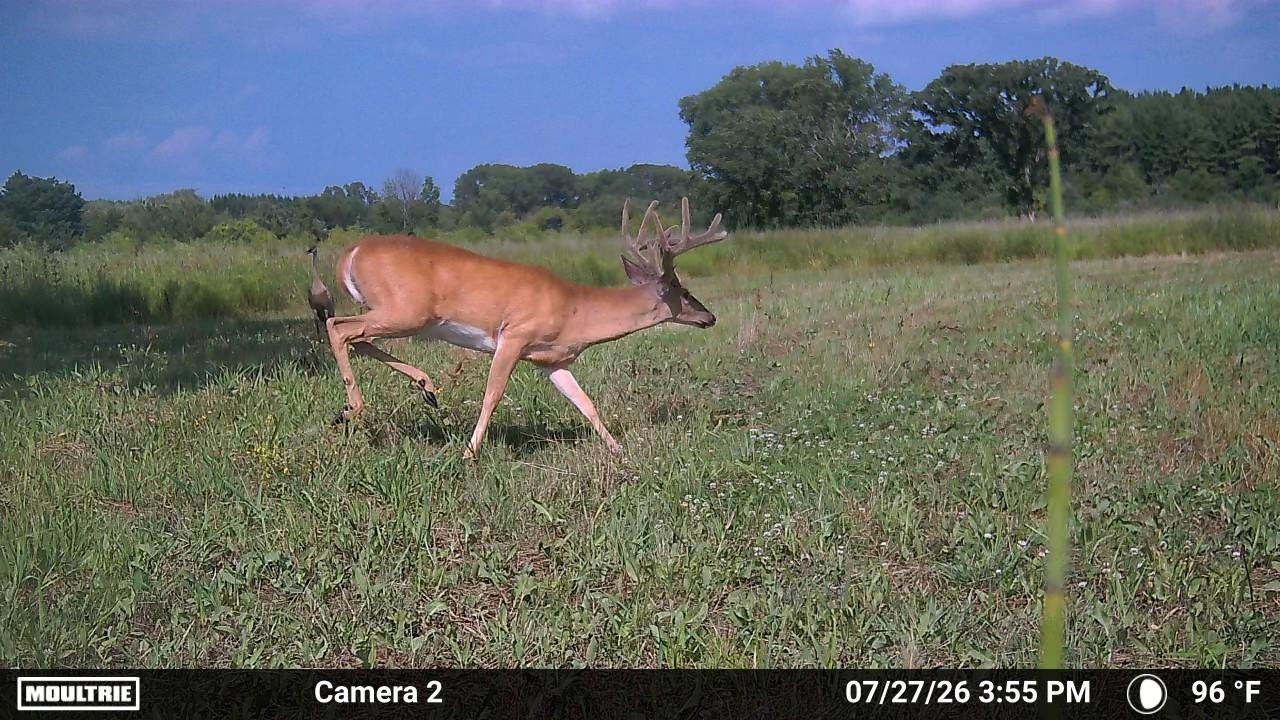 92+/- acres State Road 49 Acres, Brooklyn, WI 54941