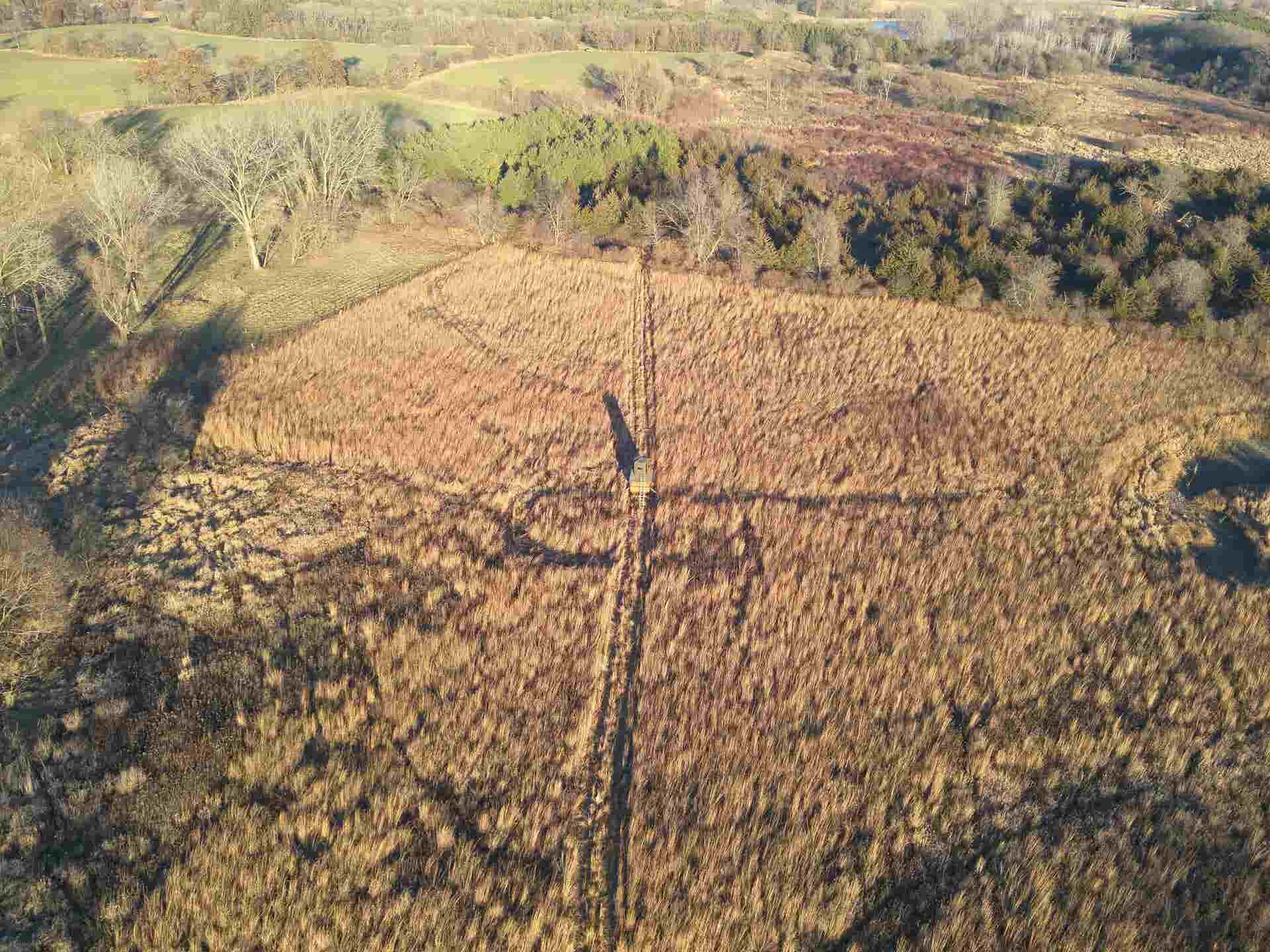 92+/- acres State Road 49 Acres, Brooklyn, WI 54941