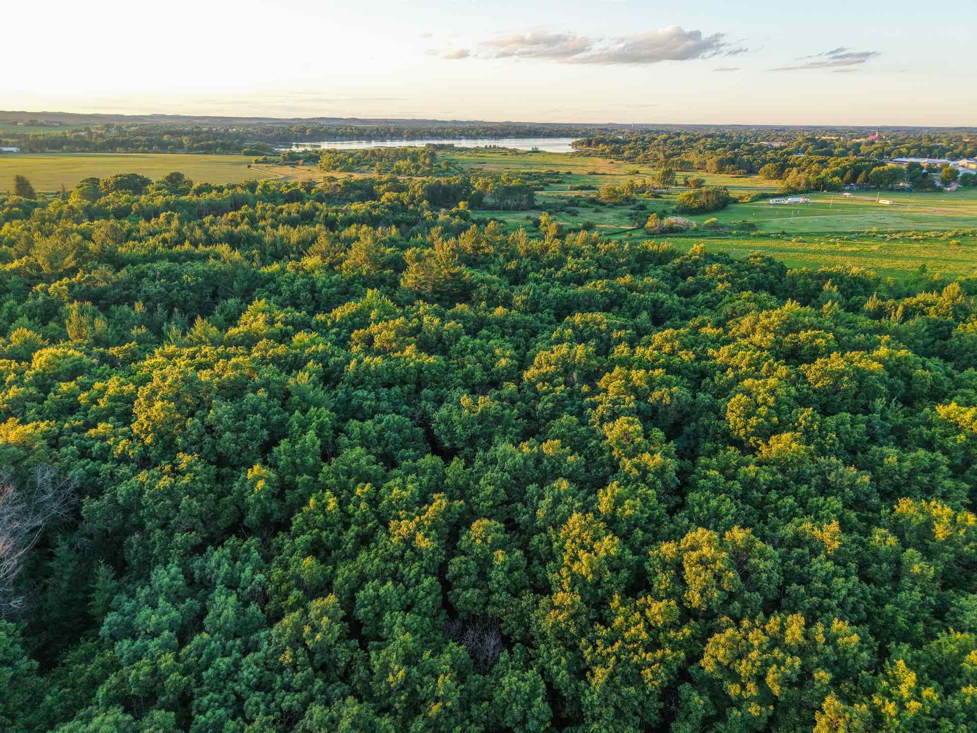 000 County Hwy Cm, Tomah, WI 54660