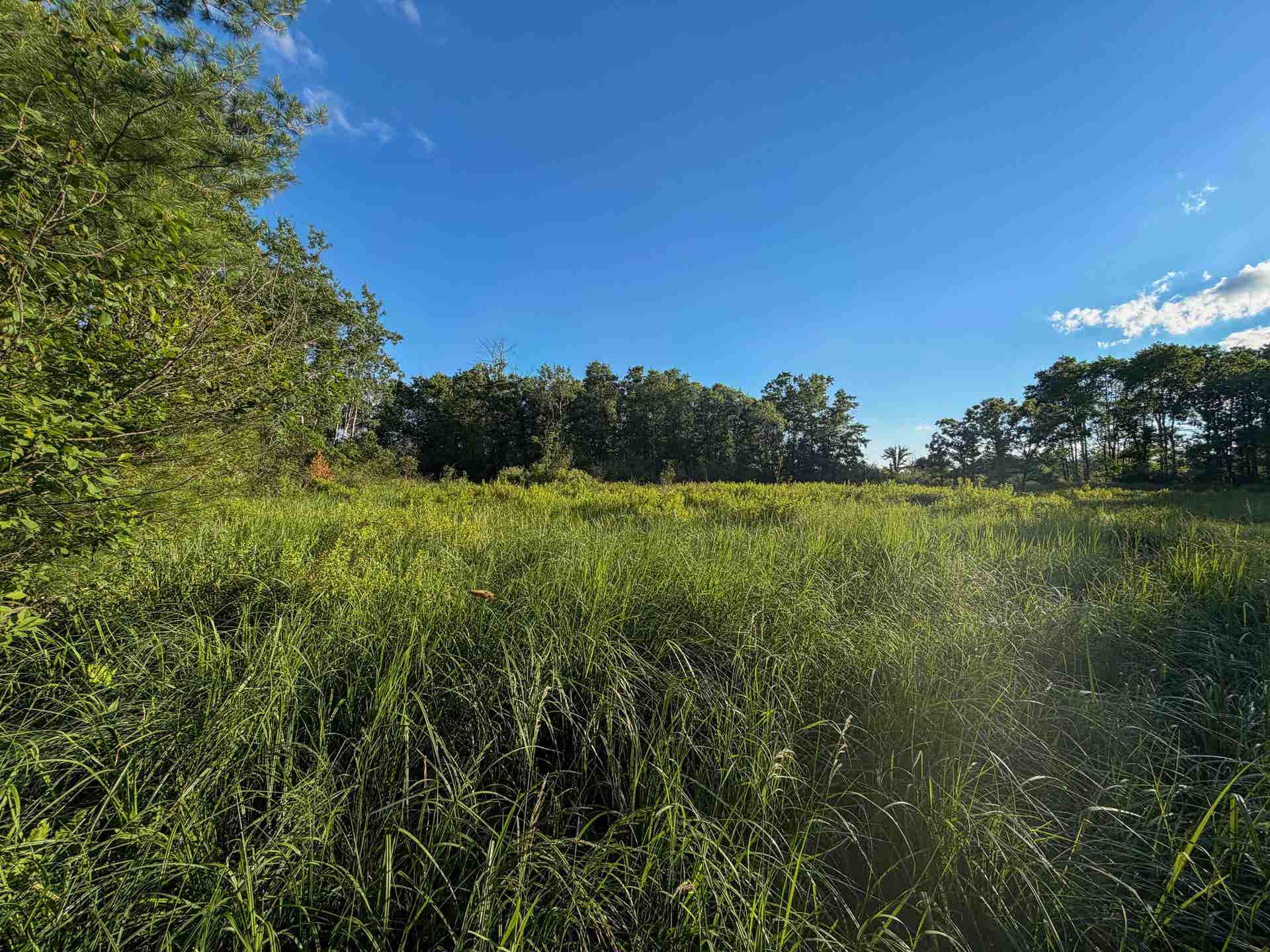 000 County Hwy Cm, Tomah, WI 54660