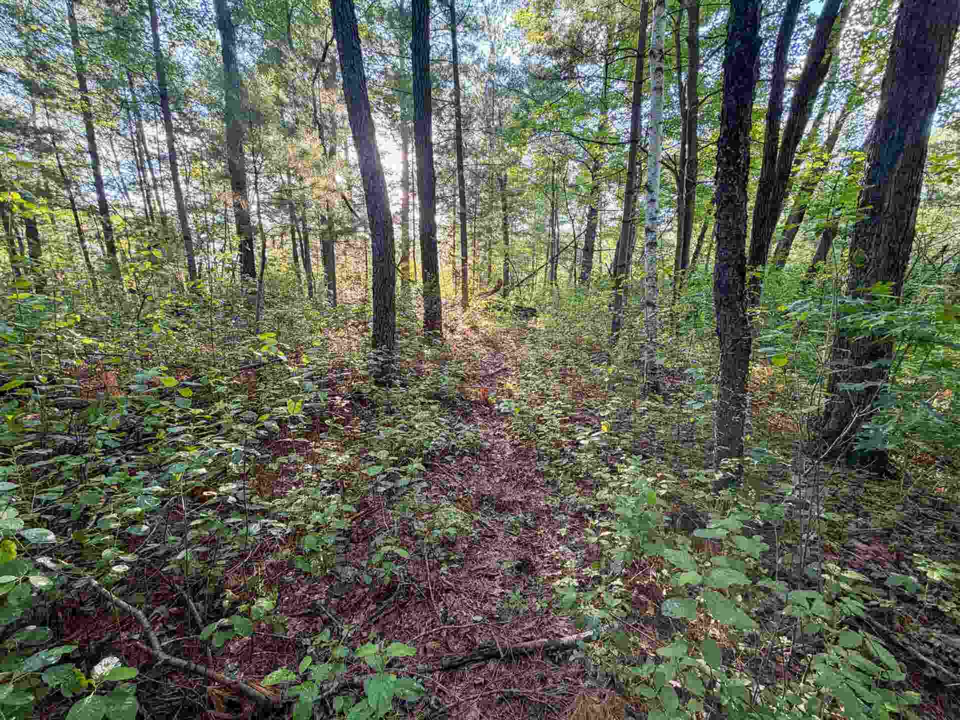 000 County Hwy Cm, Tomah, WI 54660