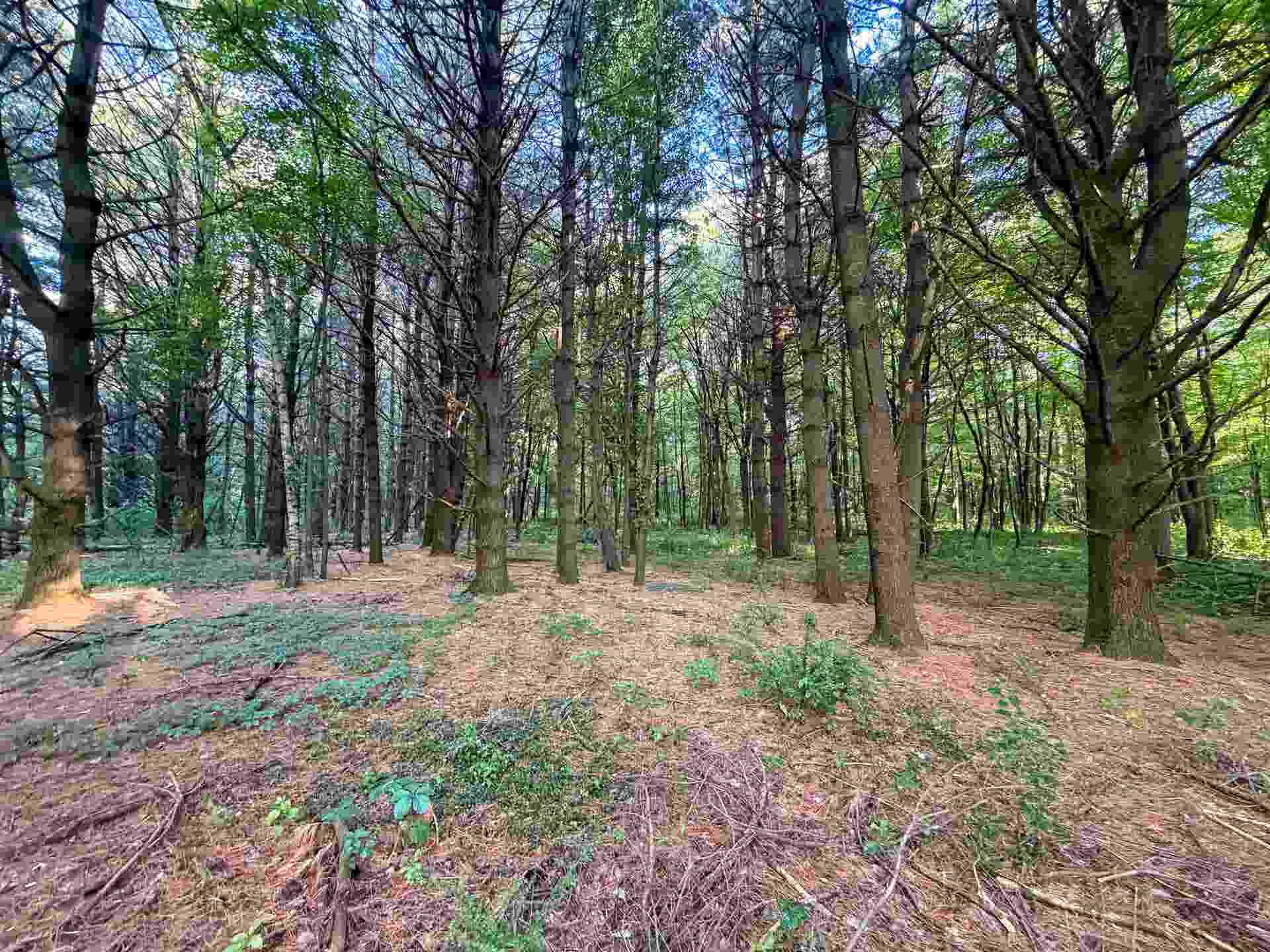 000 County Hwy Cm, Tomah, WI 54660