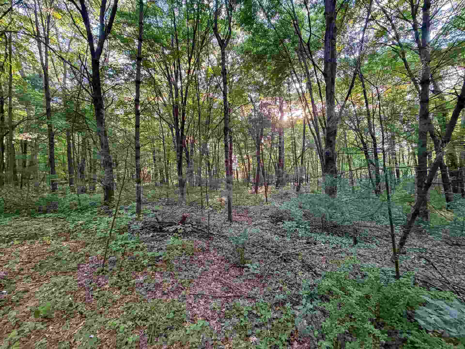 000 County Hwy Cm, Tomah, WI 54660