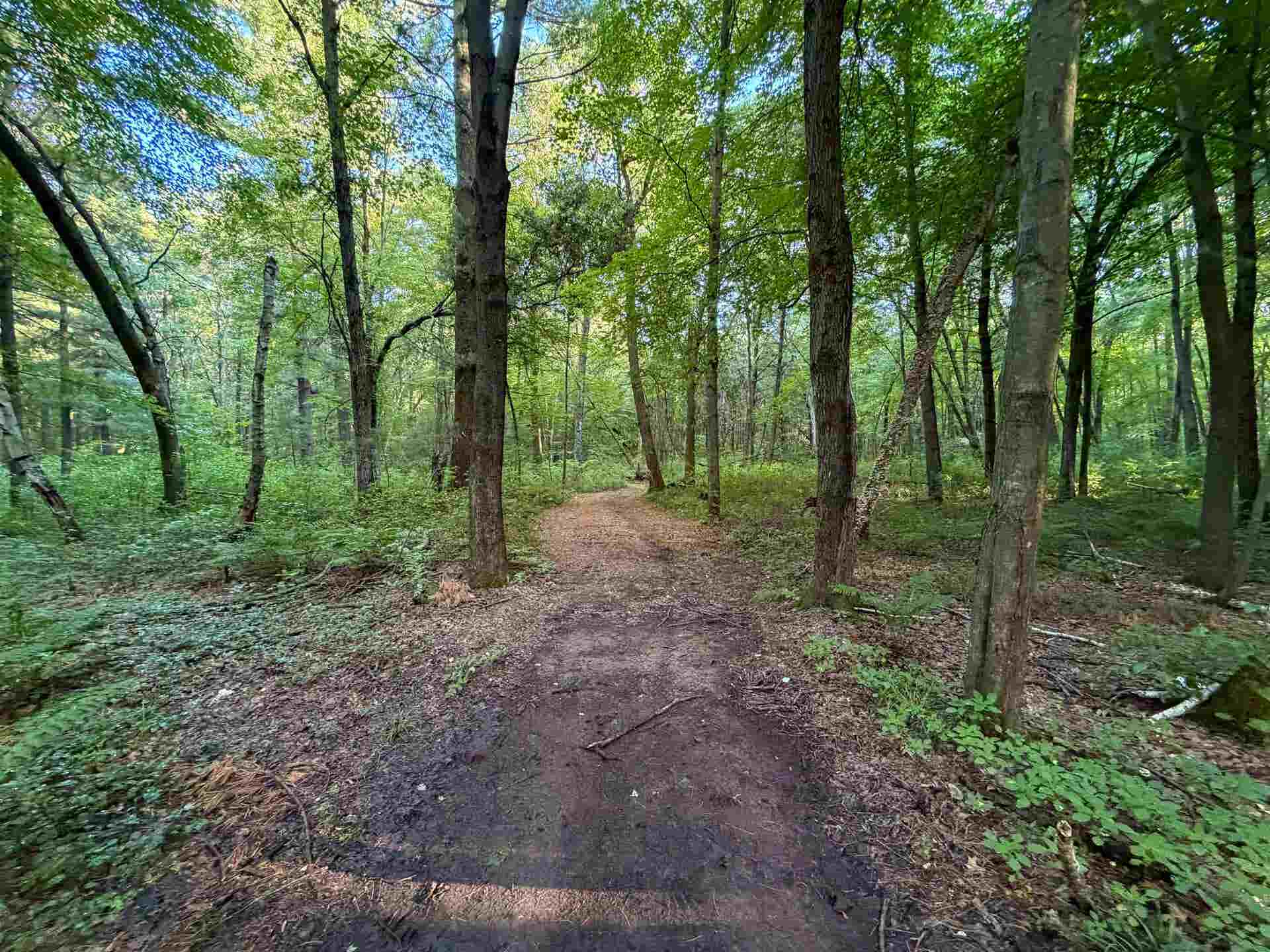 000 County Hwy Cm, Tomah, WI 54660