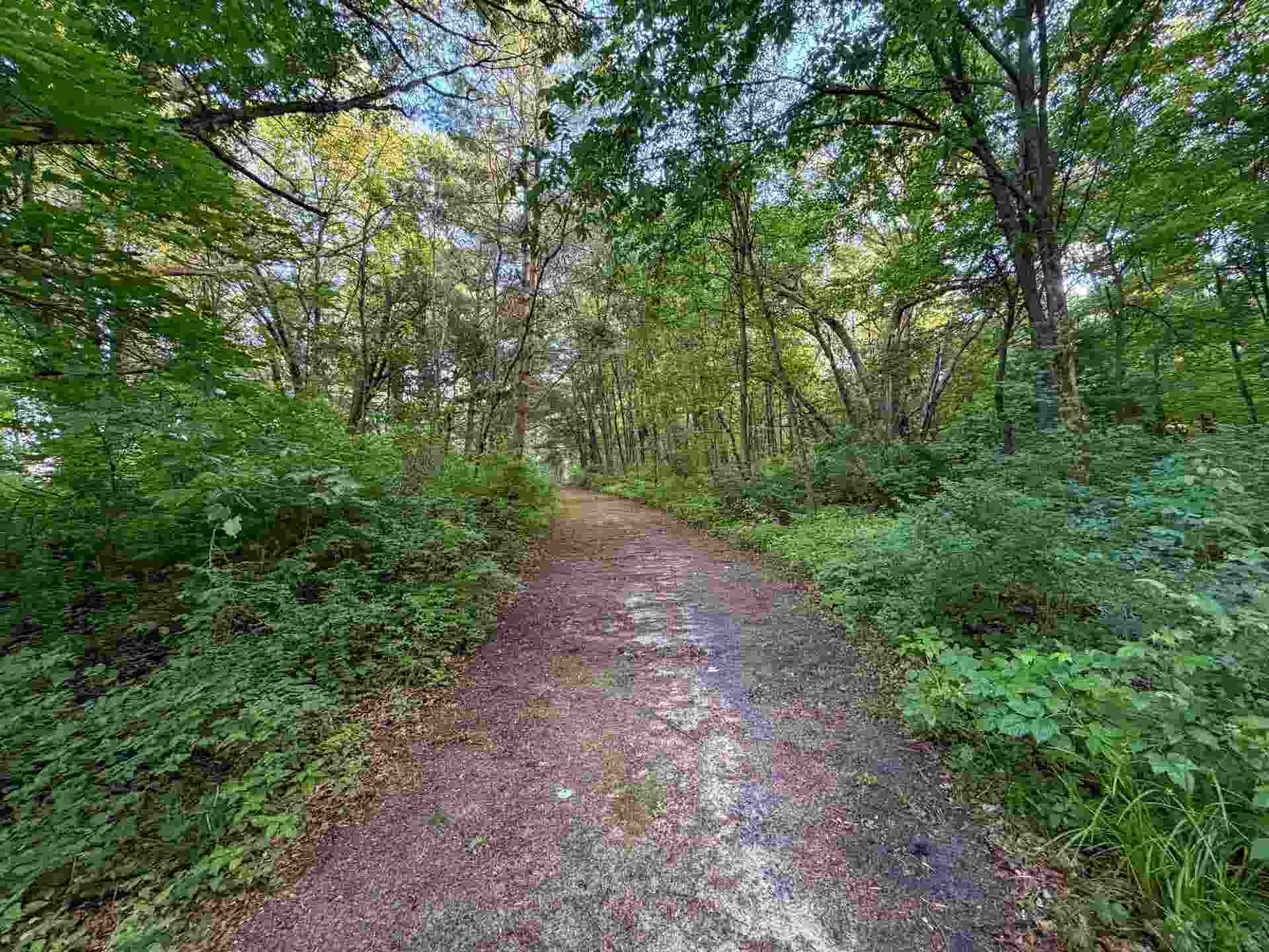 000 County Hwy Cm, Tomah, WI 54660