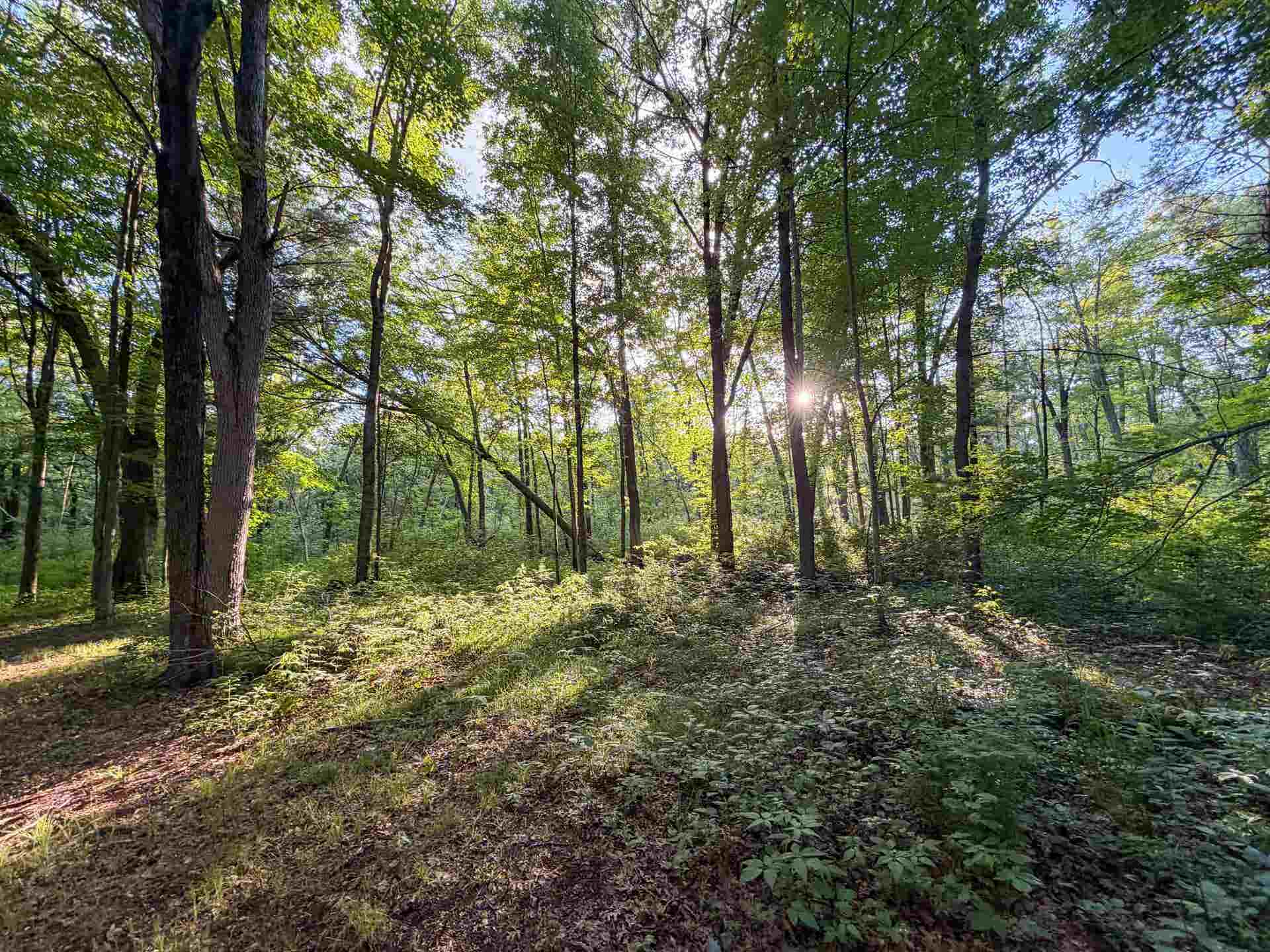 000 County Hwy Cm, Tomah, WI 54660