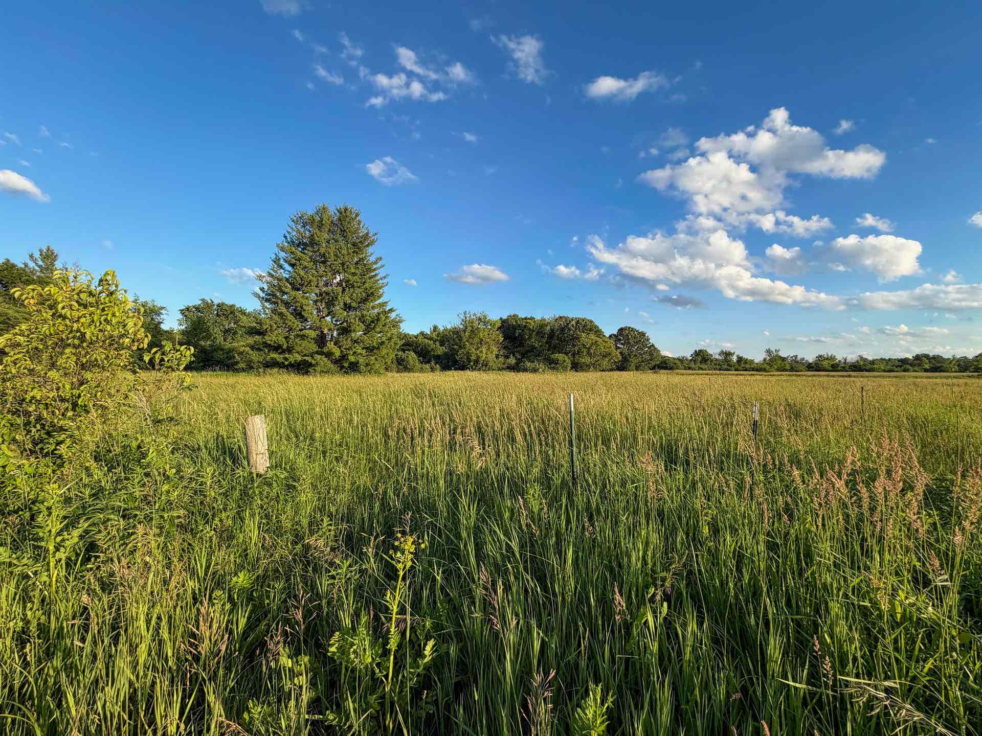 000 County Hwy Cm, Tomah, WI 54660