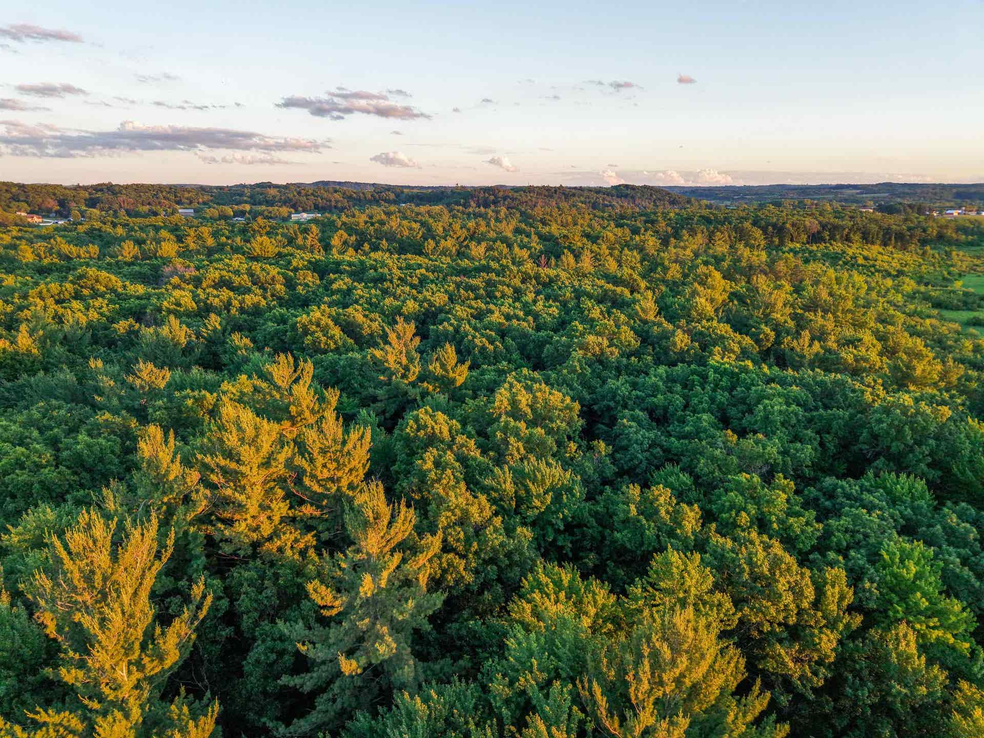 000 County Hwy Cm, Tomah, WI 54660