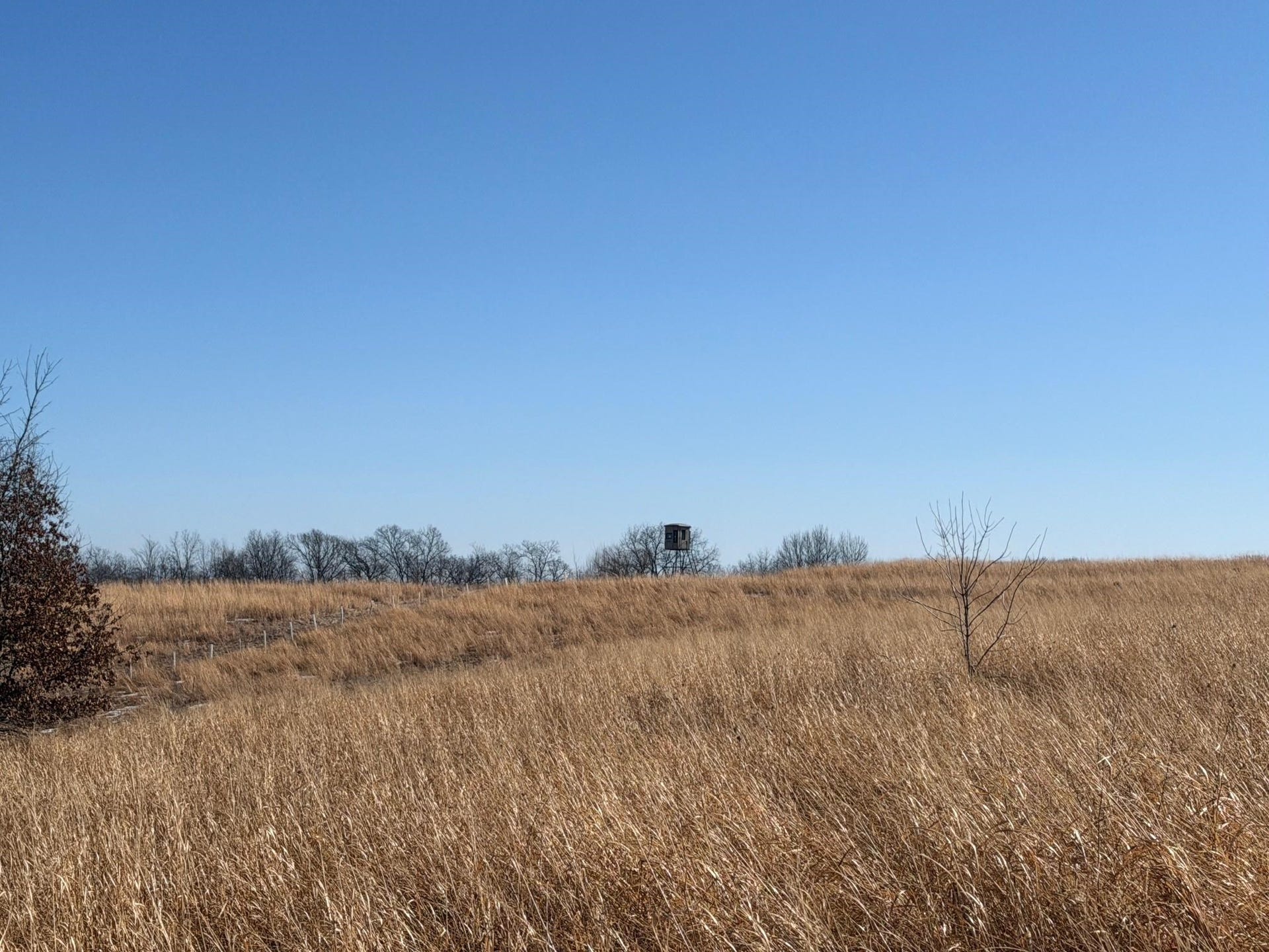21881 Kale Road, Leon, WI 54656