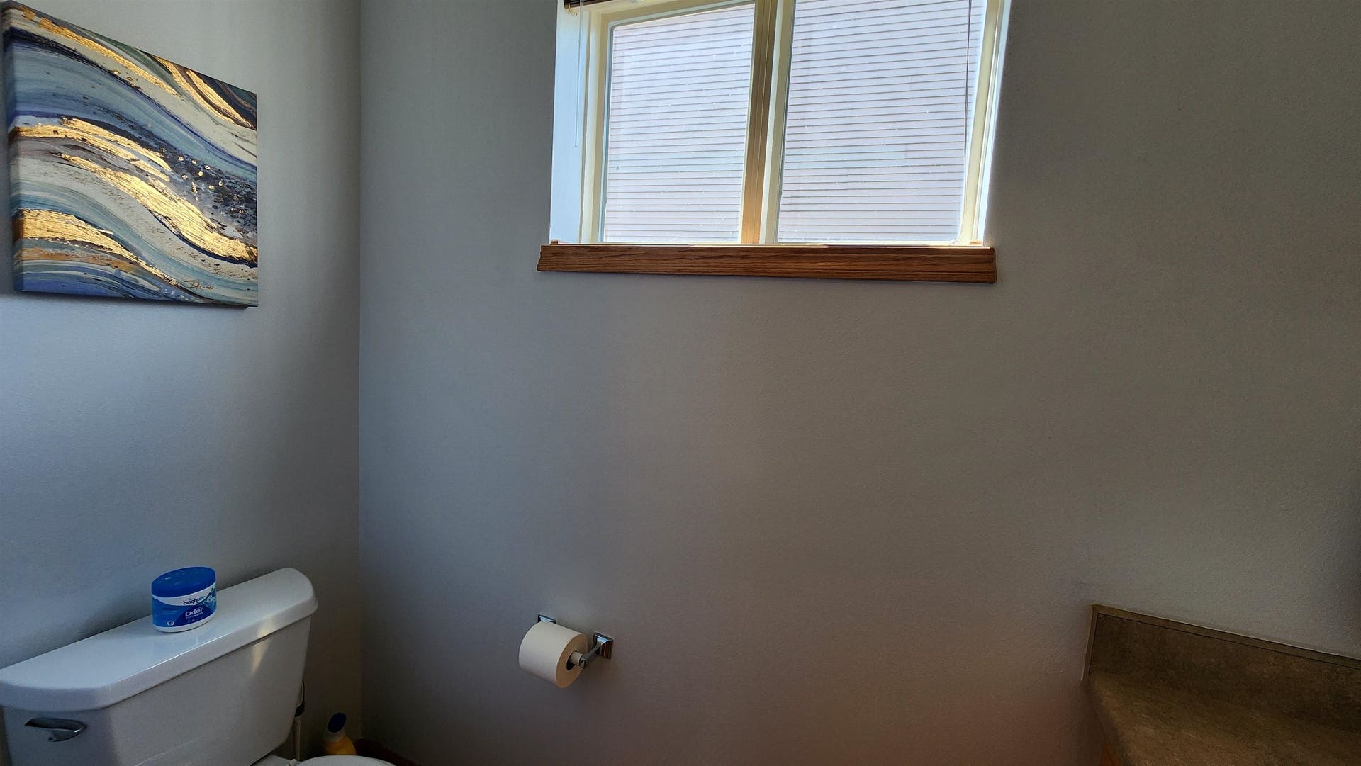 9412 Briar Haven Drive, Madison, WI 53593