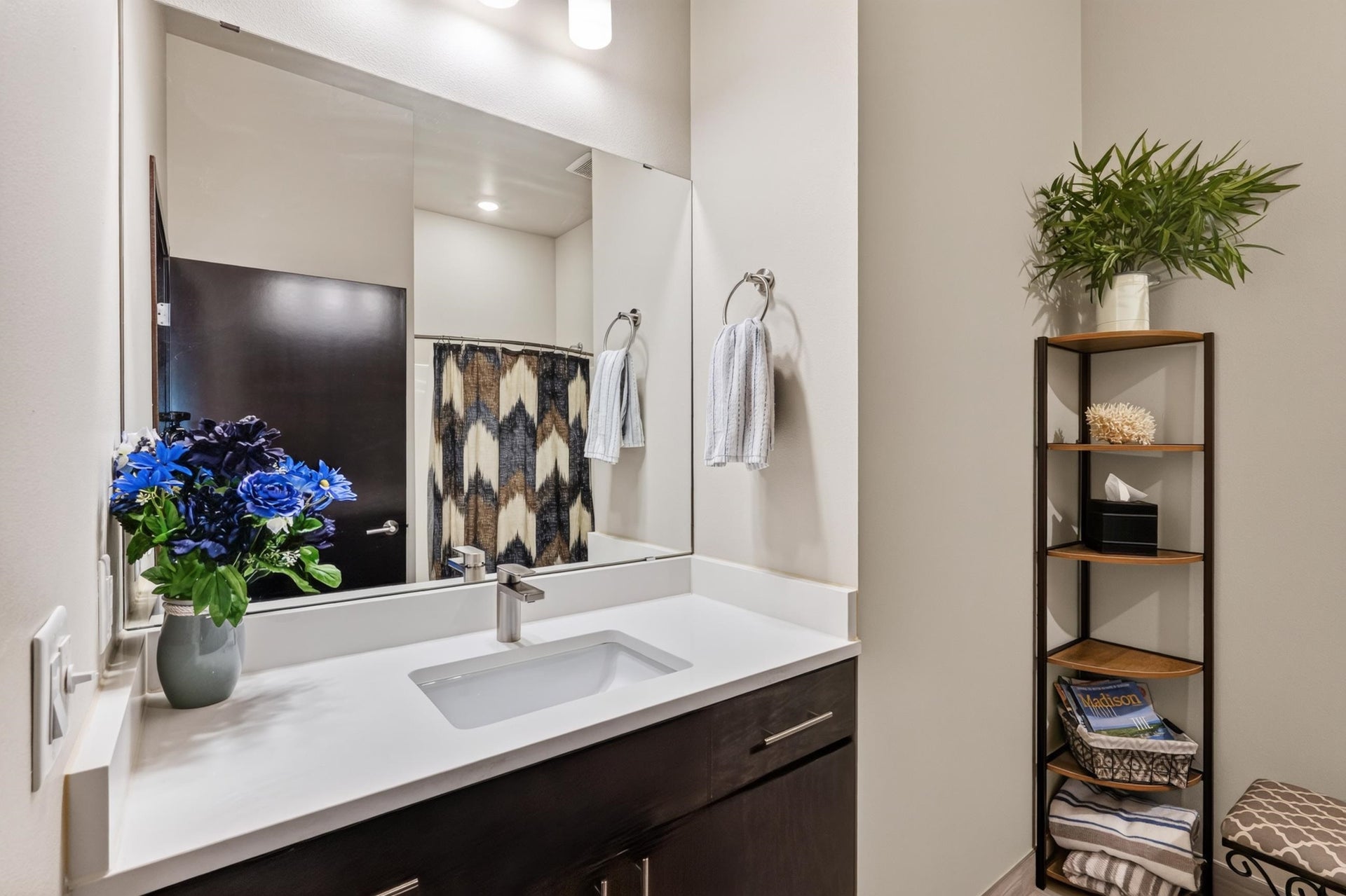 819 E Mifflin Street, #304, Madison, WI 53703