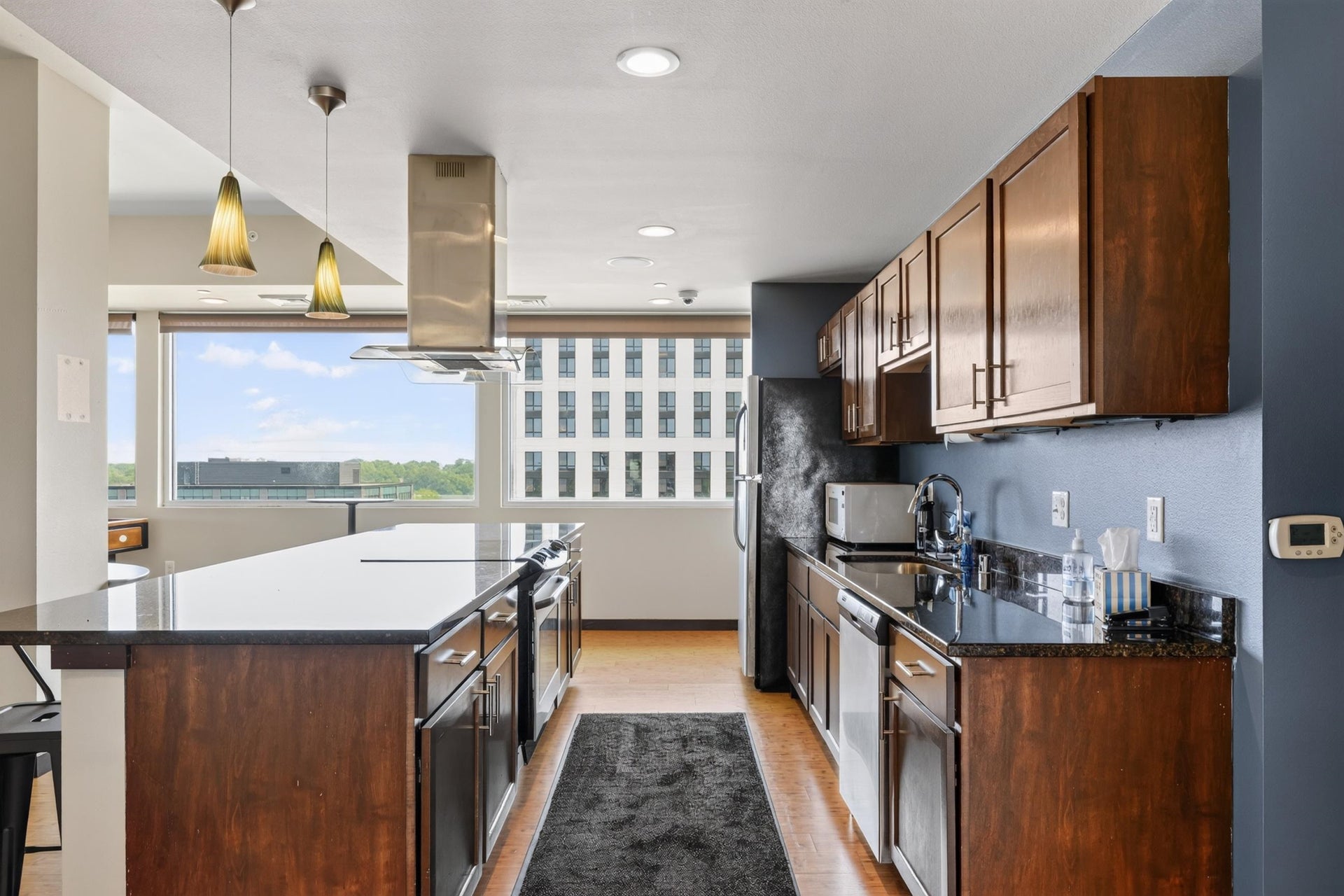 819 E Mifflin Street, #304, Madison, WI 53703