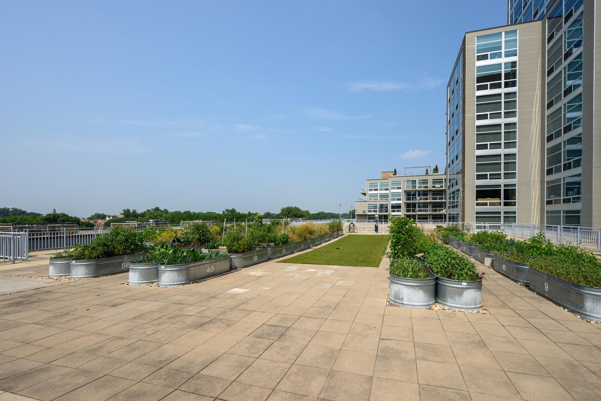 819 E Mifflin Street, #304, Madison, WI 53703