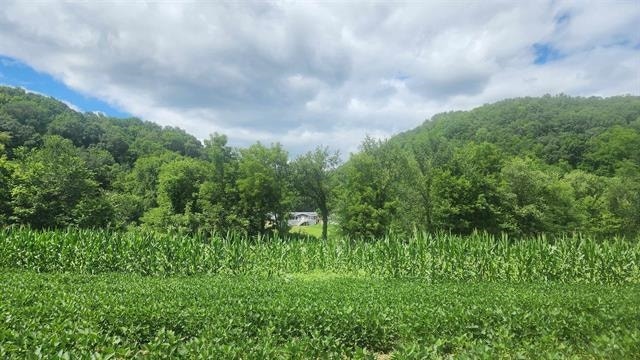 41180 Sleepy Valley Lane, Marietta, WI 53805