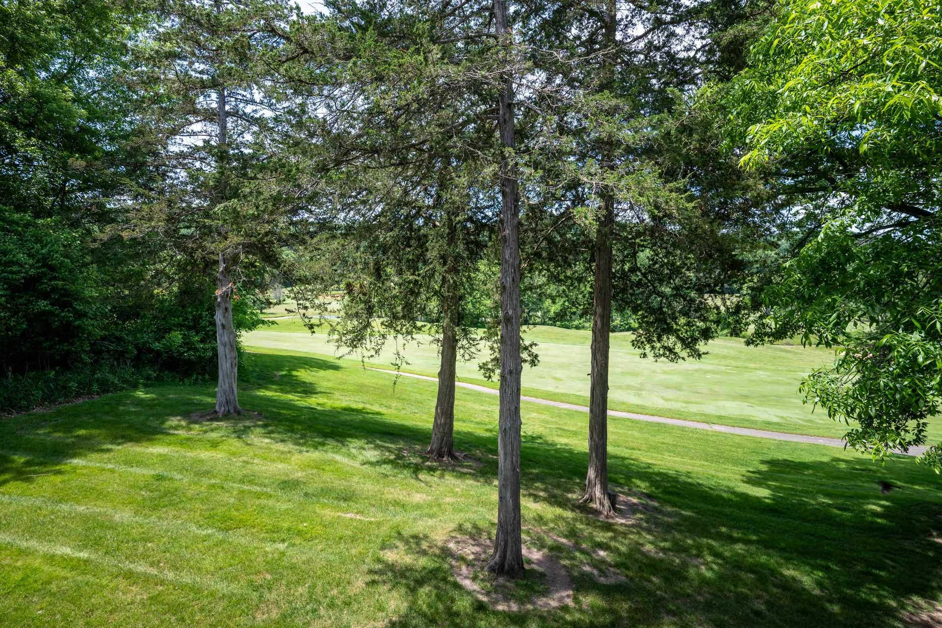 106 Aspen Glen Drive, Wyoming, WI 53588