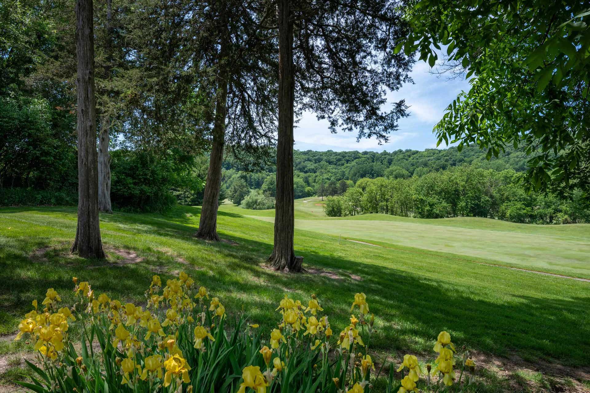 106 Aspen Glen Drive, Wyoming, WI 53588