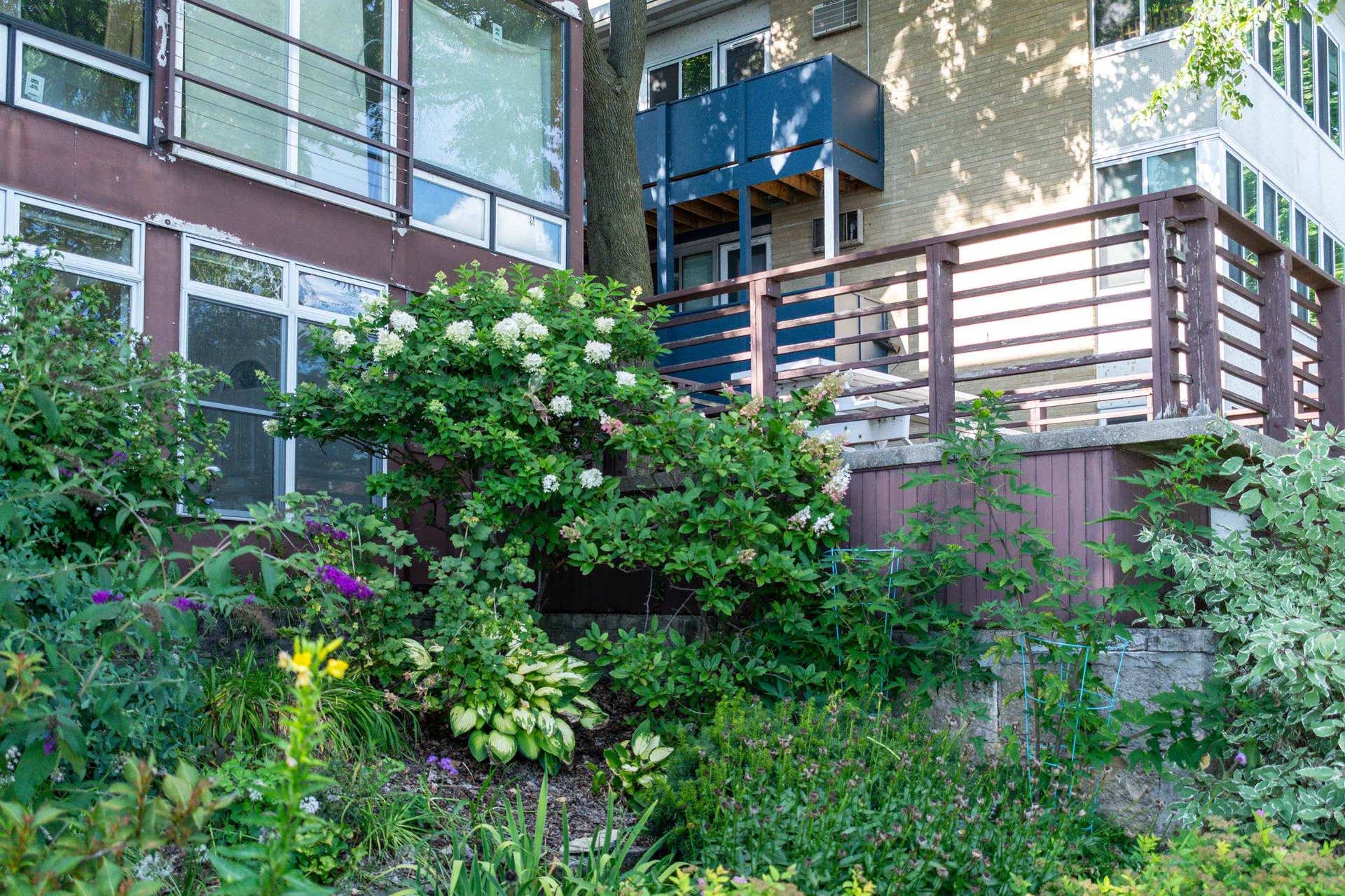 1211 Rutledge Street, #5, Madison, WI 53703
