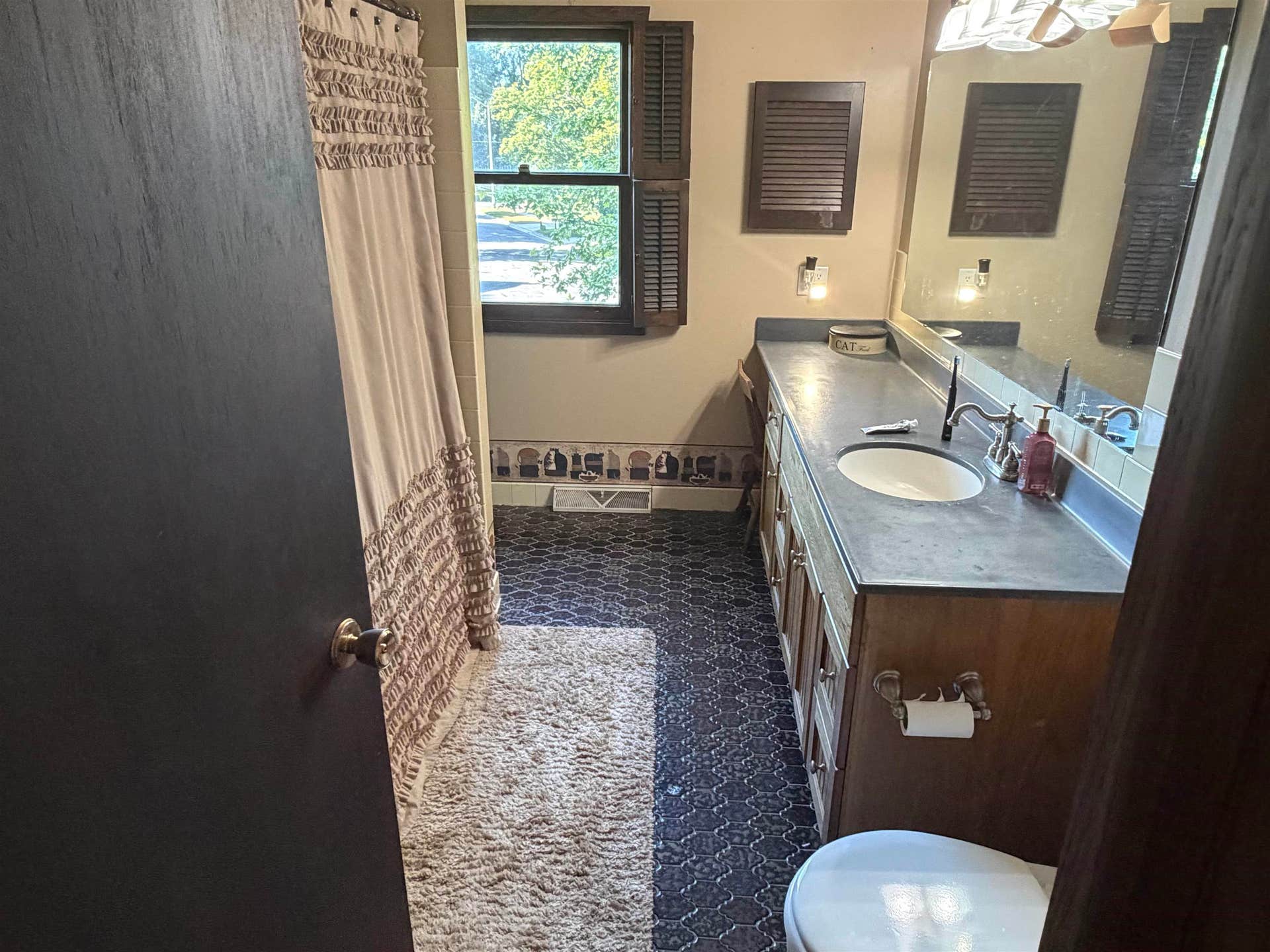 14 Eldon Court, Madison, WI 53716