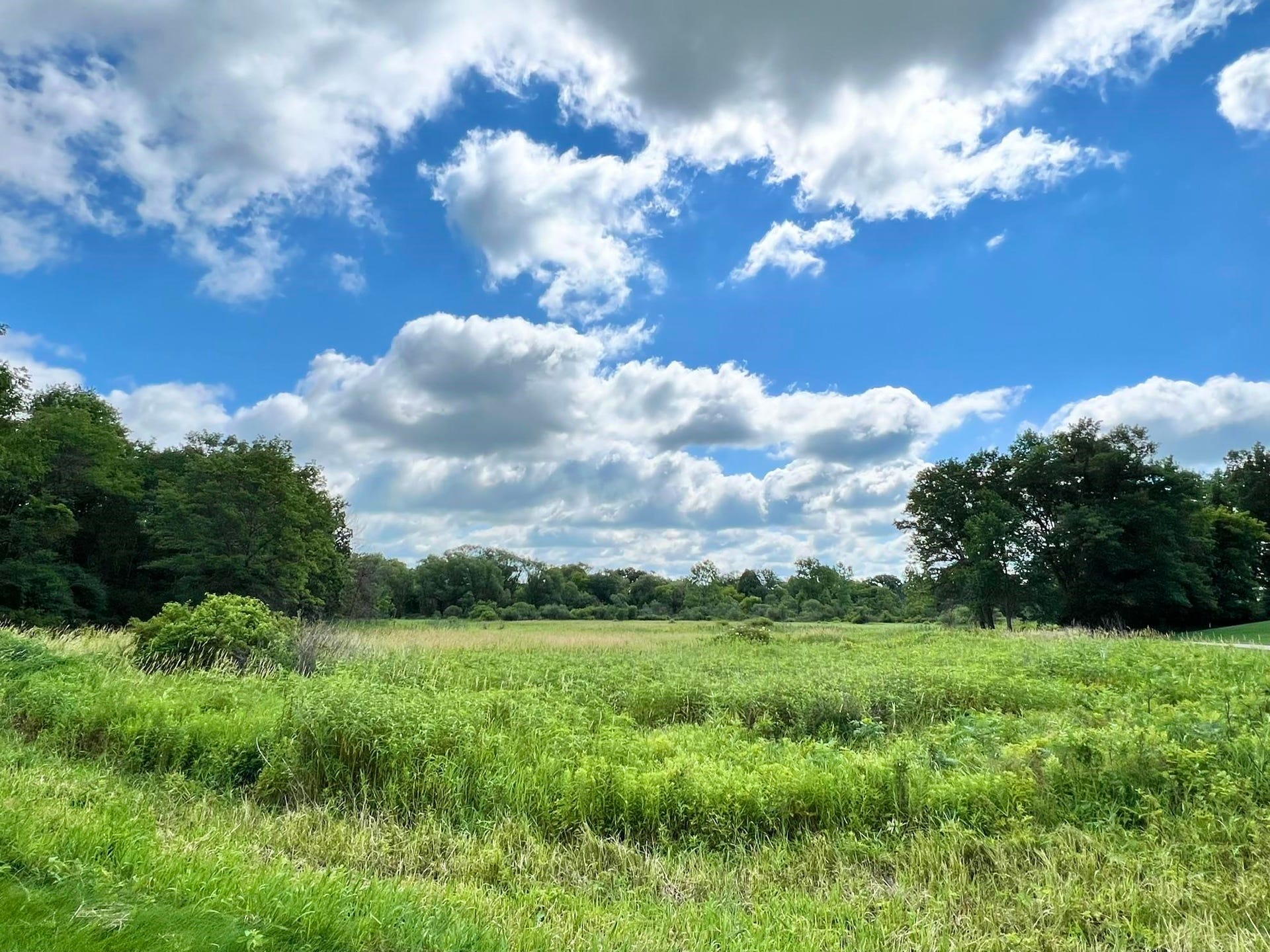 6707 Conservancy Plaza, Deforest, WI 53532