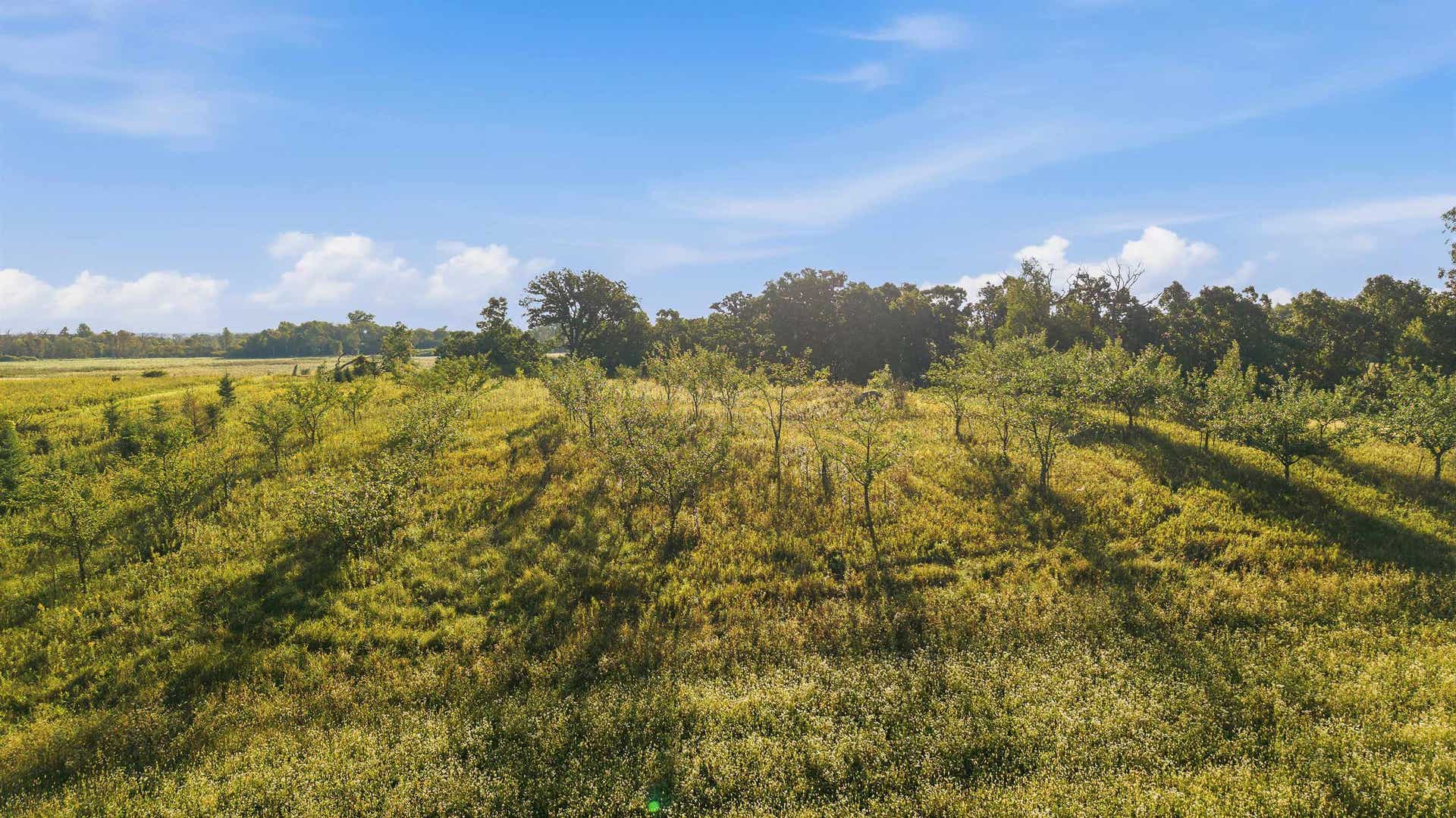 W6068 Neitzel Road, Chester, WI 53963