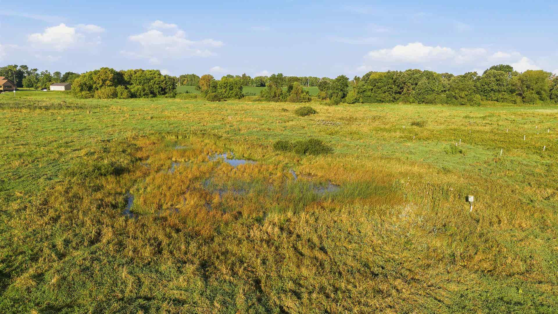 W6068 Neitzel Road, Chester, WI 53963