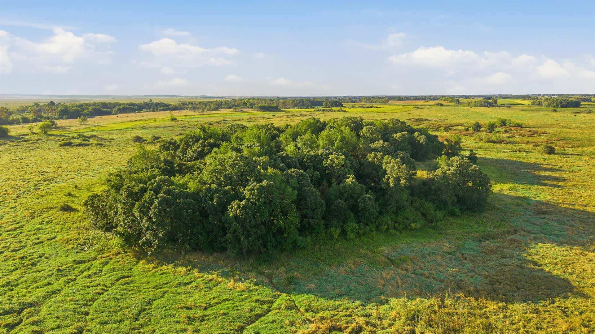 W6068 Neitzel Road, Chester, WI 53963