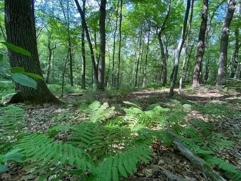 12 Wooded Acres Observatory Road, Cross Plains, WI 53528