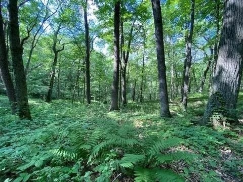 12 Wooded Acres Observatory Road, Cross Plains, WI 53528