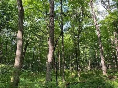 12 Wooded Acres Observatory Road, Cross Plains, WI 53528