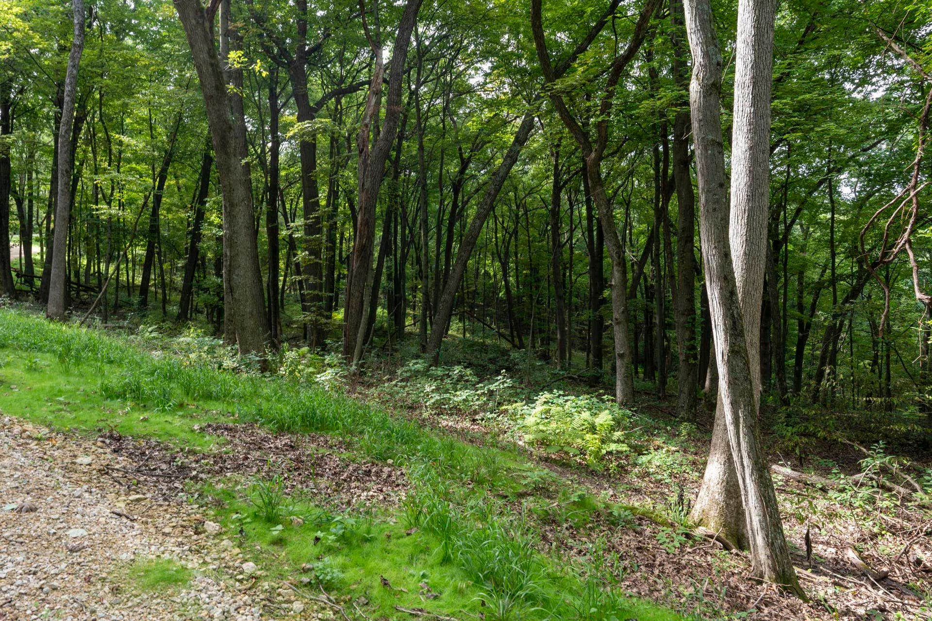 12 Wooded Acres Observatory Road, Cross Plains, WI 53528