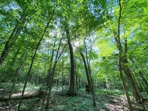 12 Wooded Acres Observatory Road, Cross Plains, WI 53528