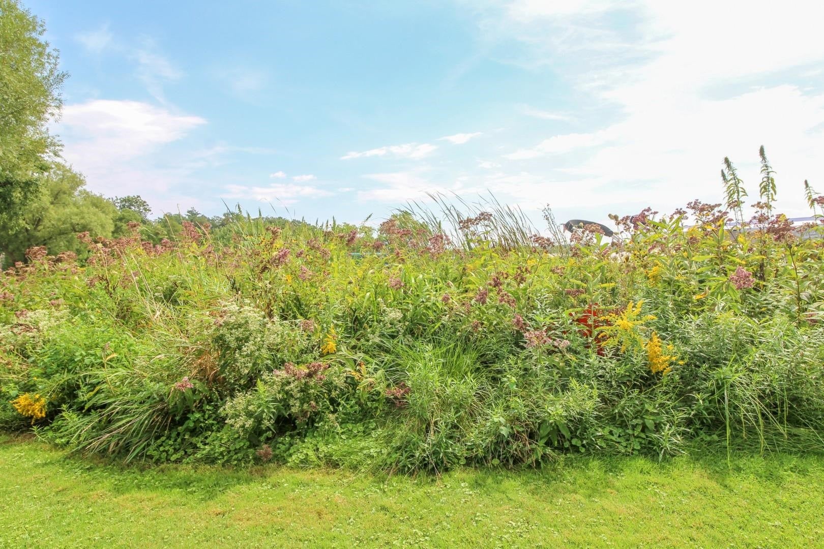 W9056 Ripley Road, Oakland, WI 53523