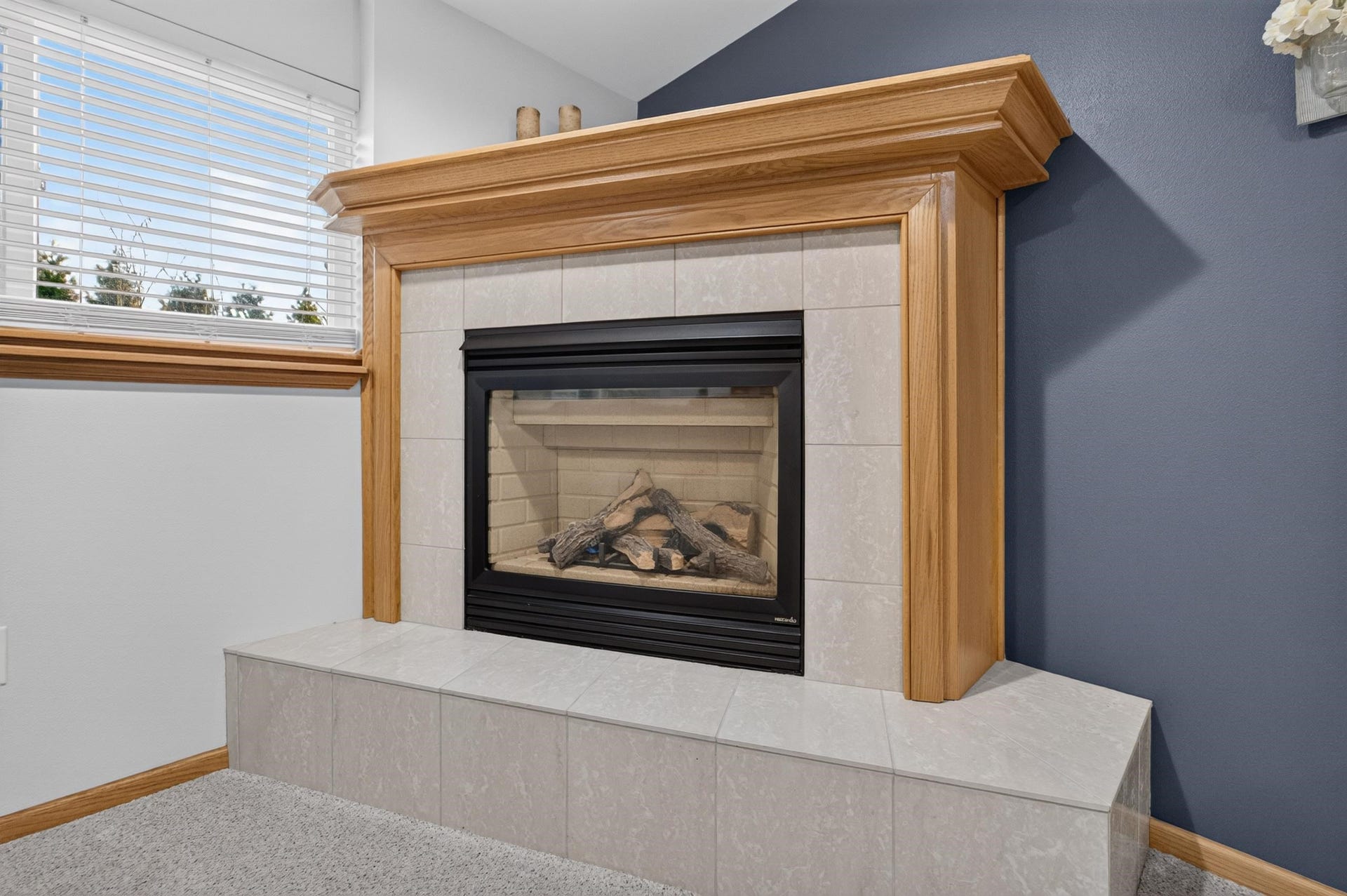 113 Terrace Court, Mount Horeb, WI 53572