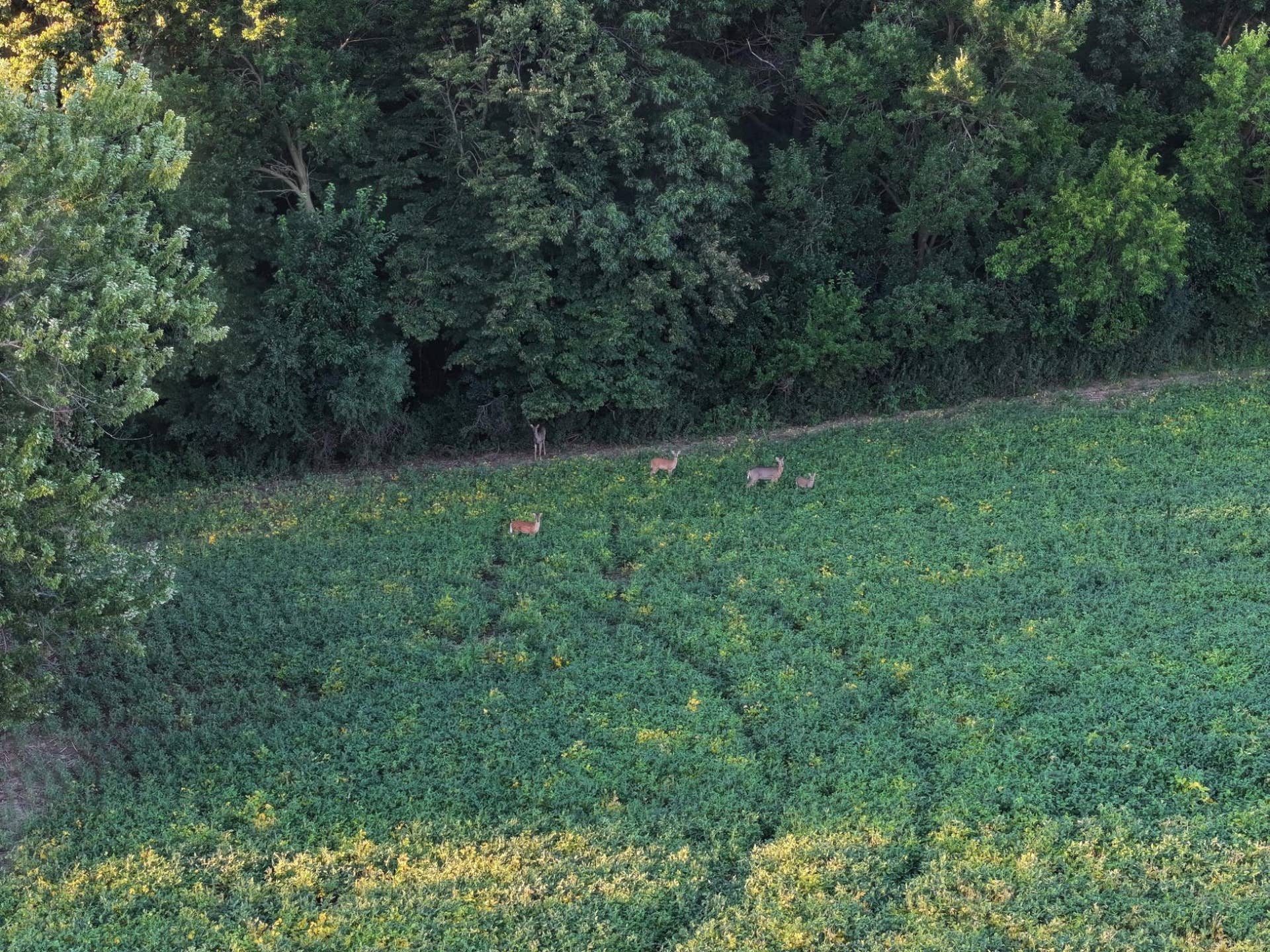 38.54 M/L Acres Ejf Townline Road, Fulton, WI 53534
