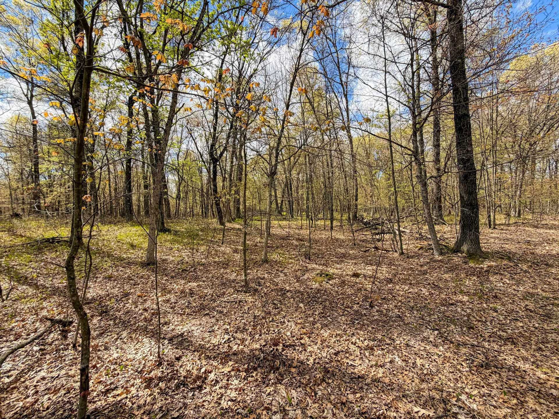 650 Cypress Avenue, Richfield, WI 53934
