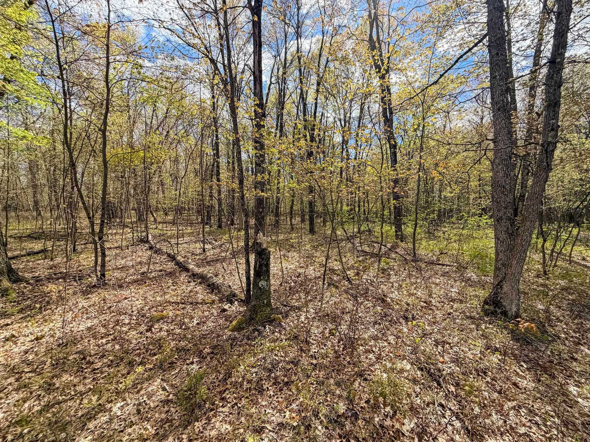650 Cypress Avenue, Richfield, WI 53934