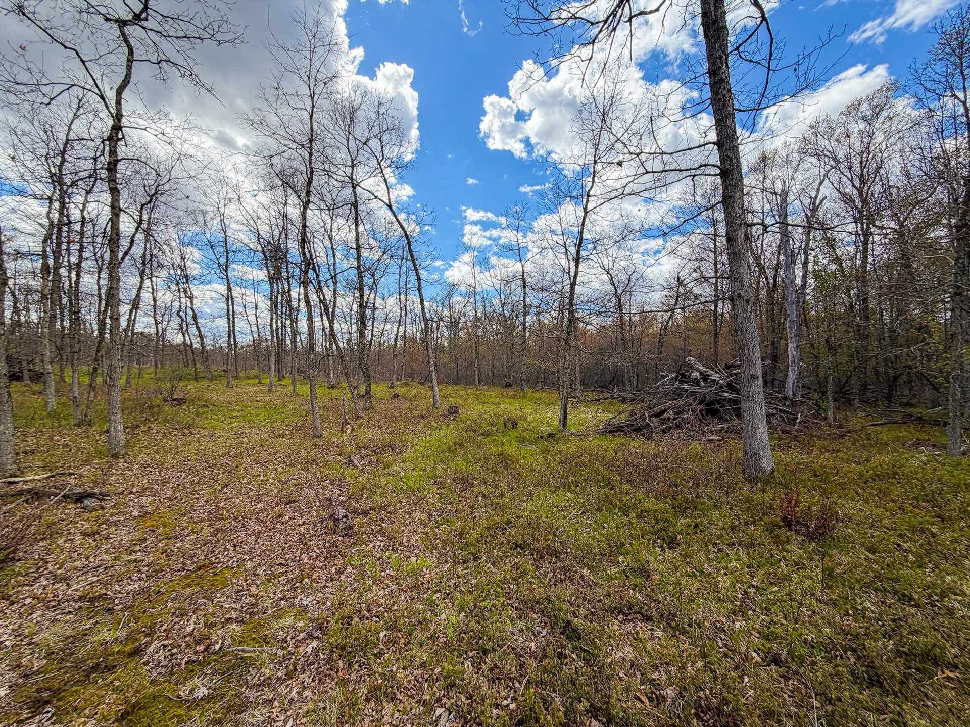 650 Cypress Avenue, Richfield, WI 53934
