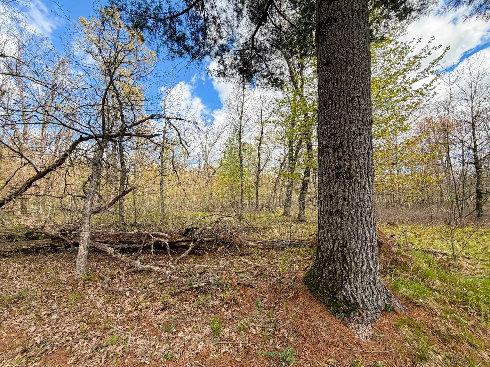 650 Cypress Avenue, Richfield, WI 53934