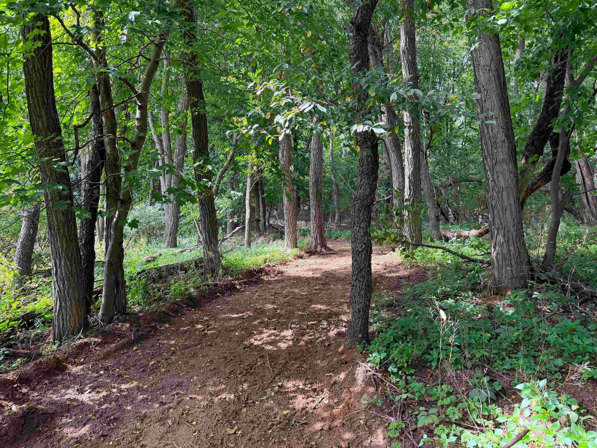 S2437 Meadowview Road, Winfield, WI 53959