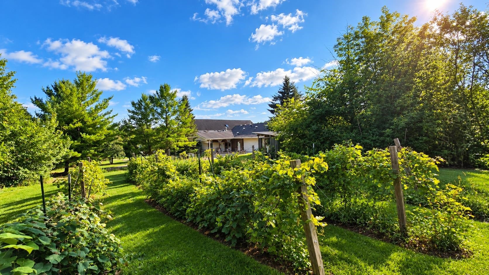 1391 Fritz Road, Montrose, WI 53593
