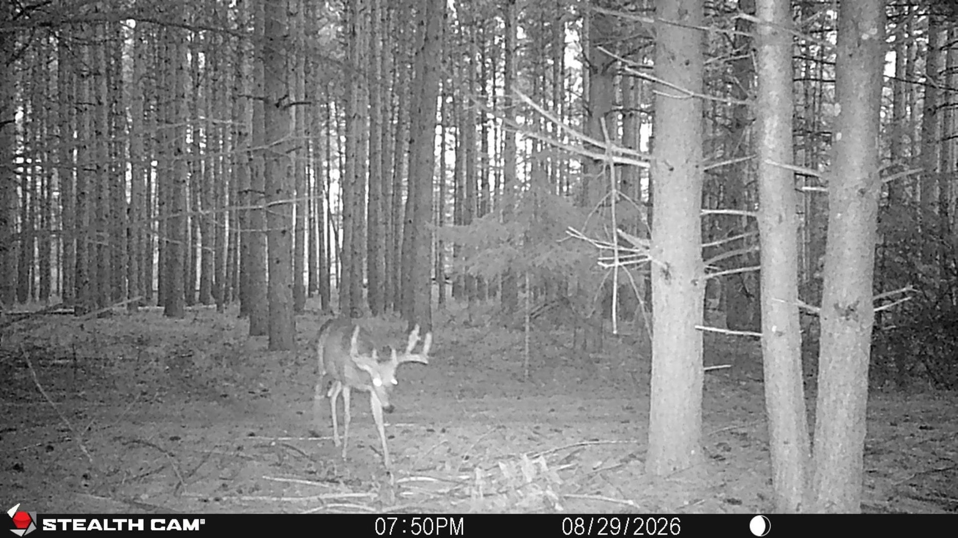 W6191 Lueck Lane, Princeton, WI 54968