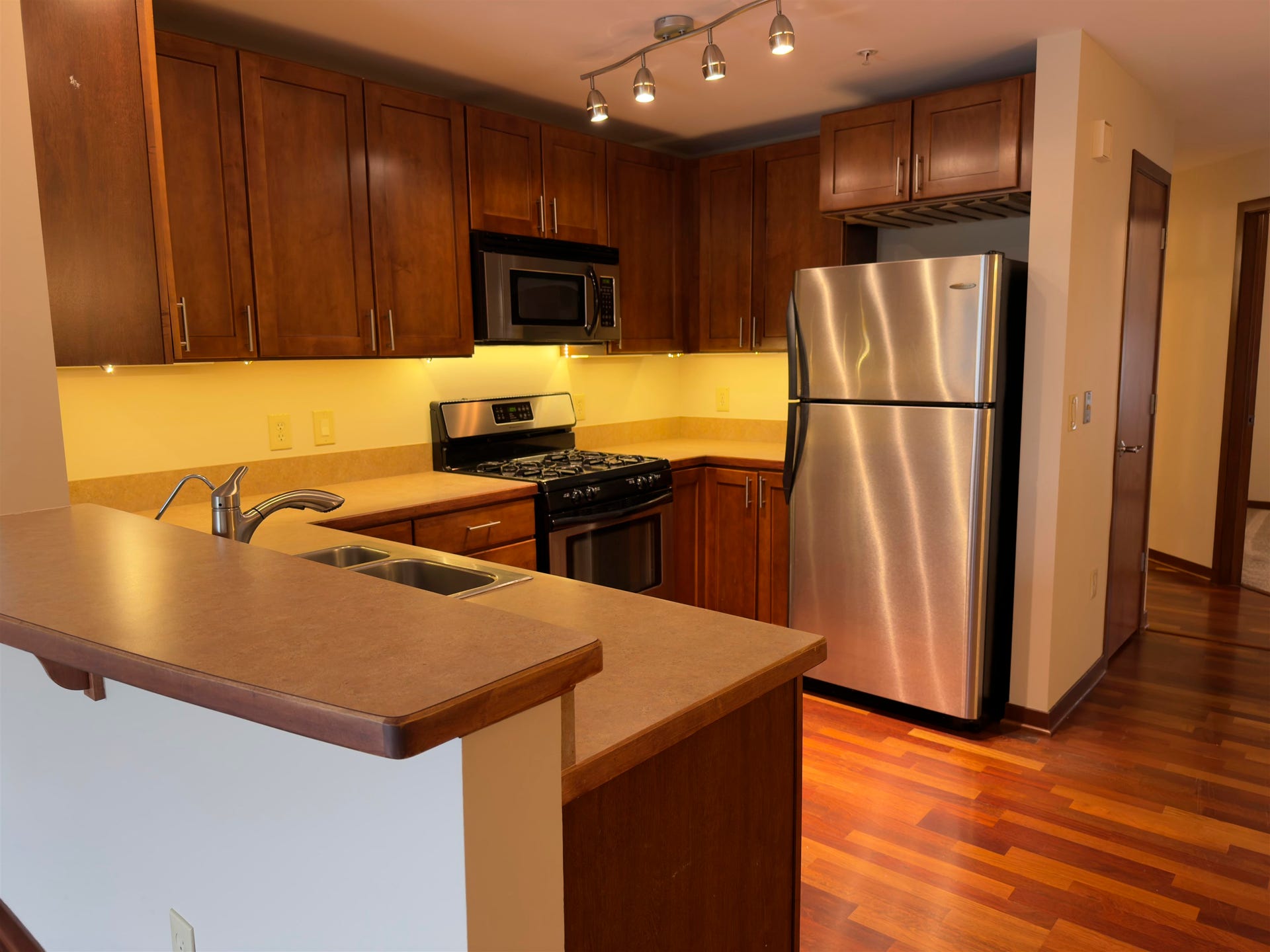 333 W Mifflin Street, #3160, Madison, WI 53703