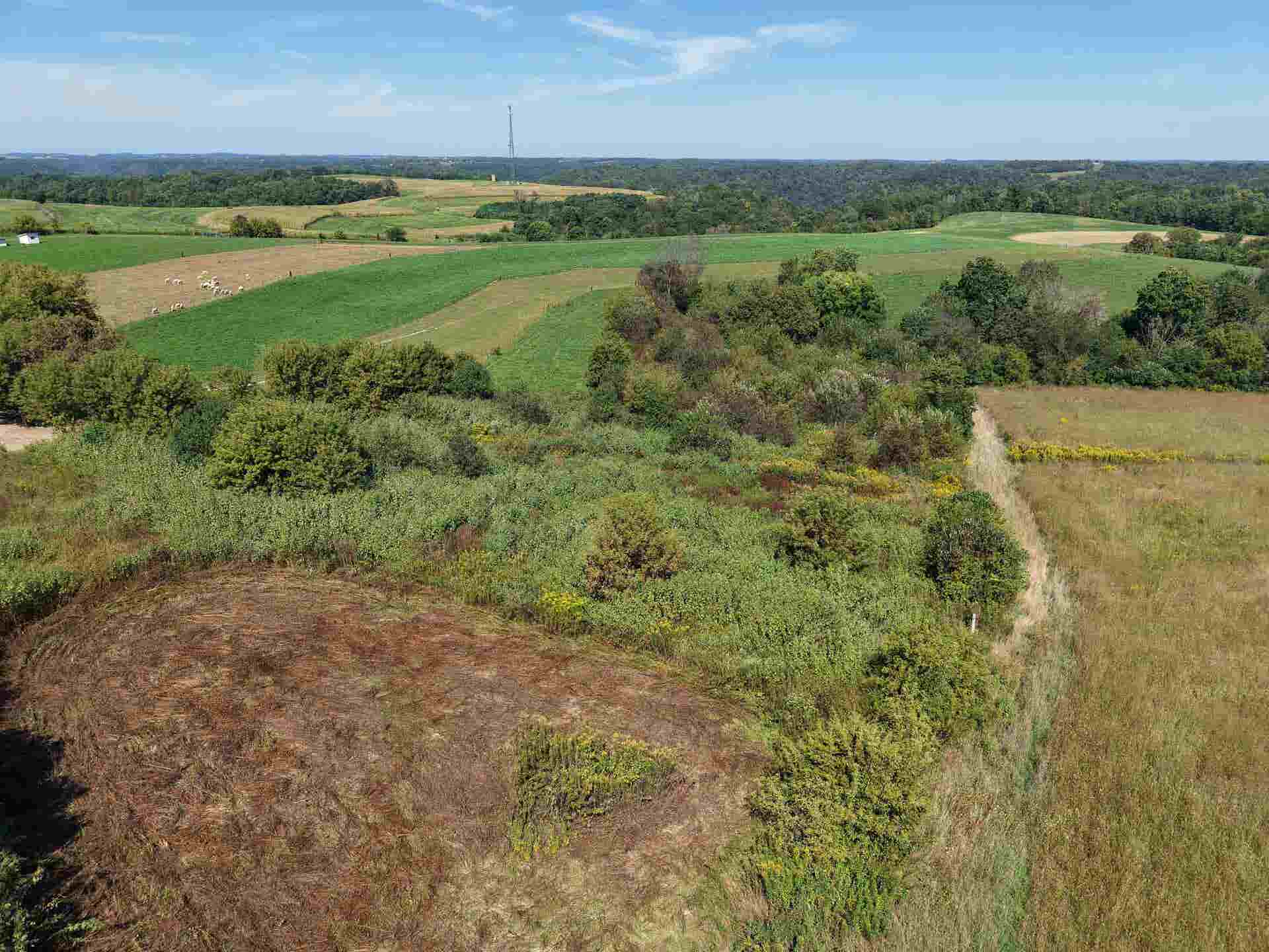 E10246 Yttri Road, Kickapoo, WI 54652-7029