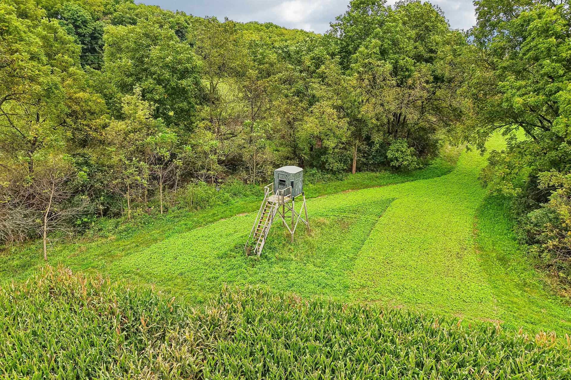 43 +/- Acres Reisell Road, Blue Mounds, WI 53517