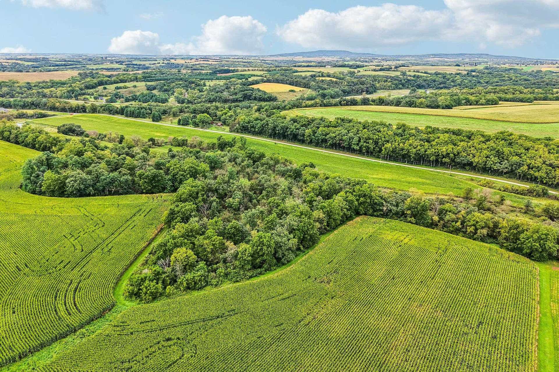 43 +/- Acres Reisell Road, Blue Mounds, WI 53517