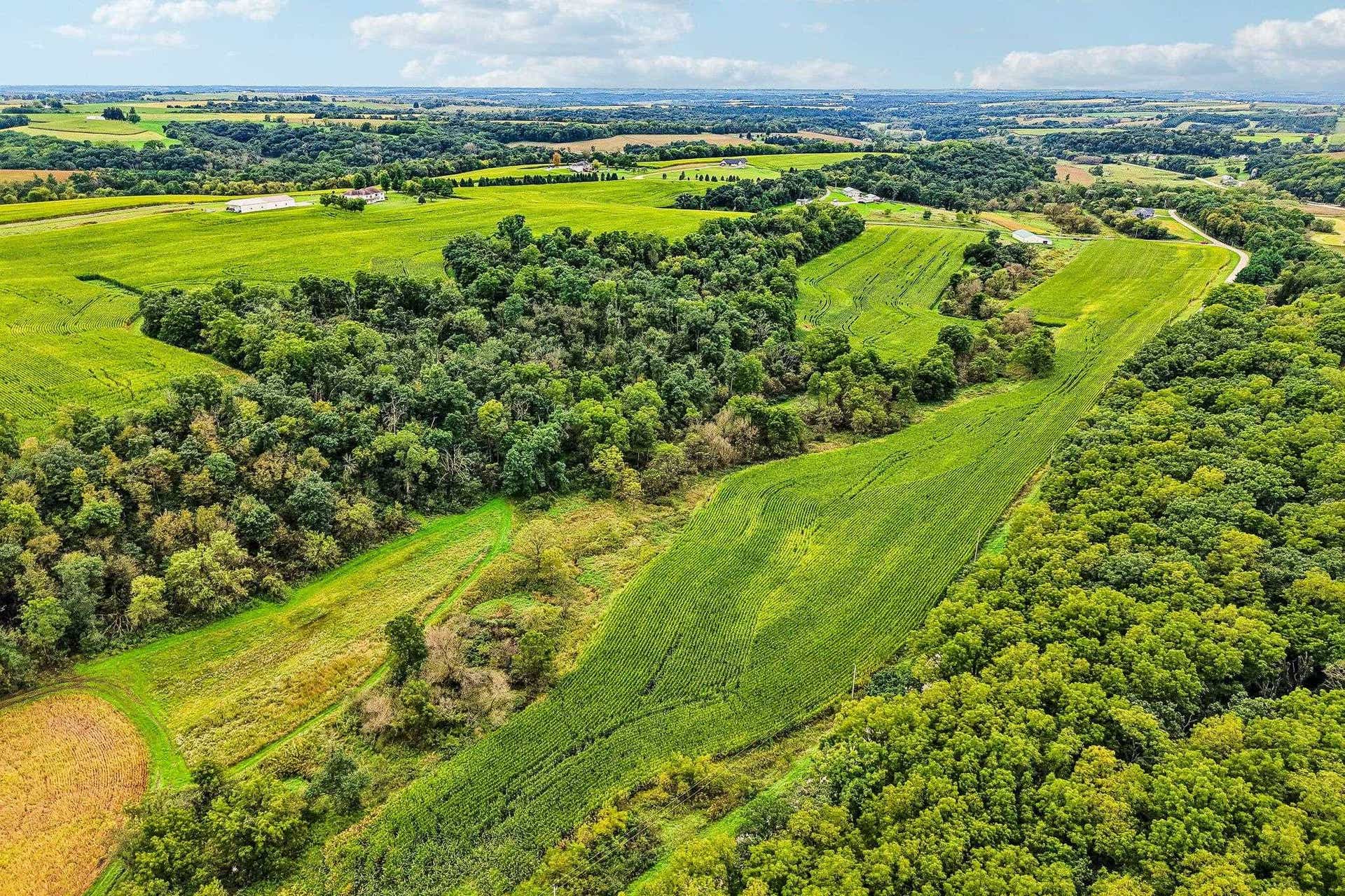 43 +/- Acres Reisell Road, Blue Mounds, WI 53517