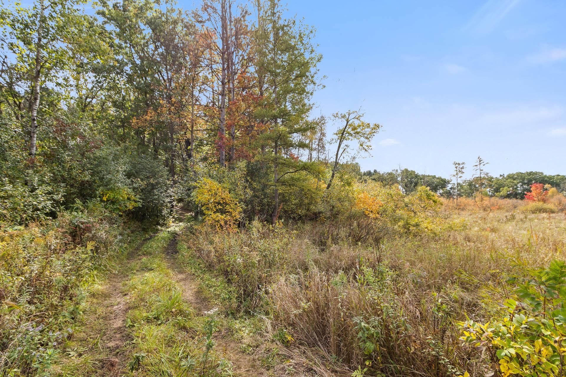 N8005 Ashley Road, Marcellon, WI 53901