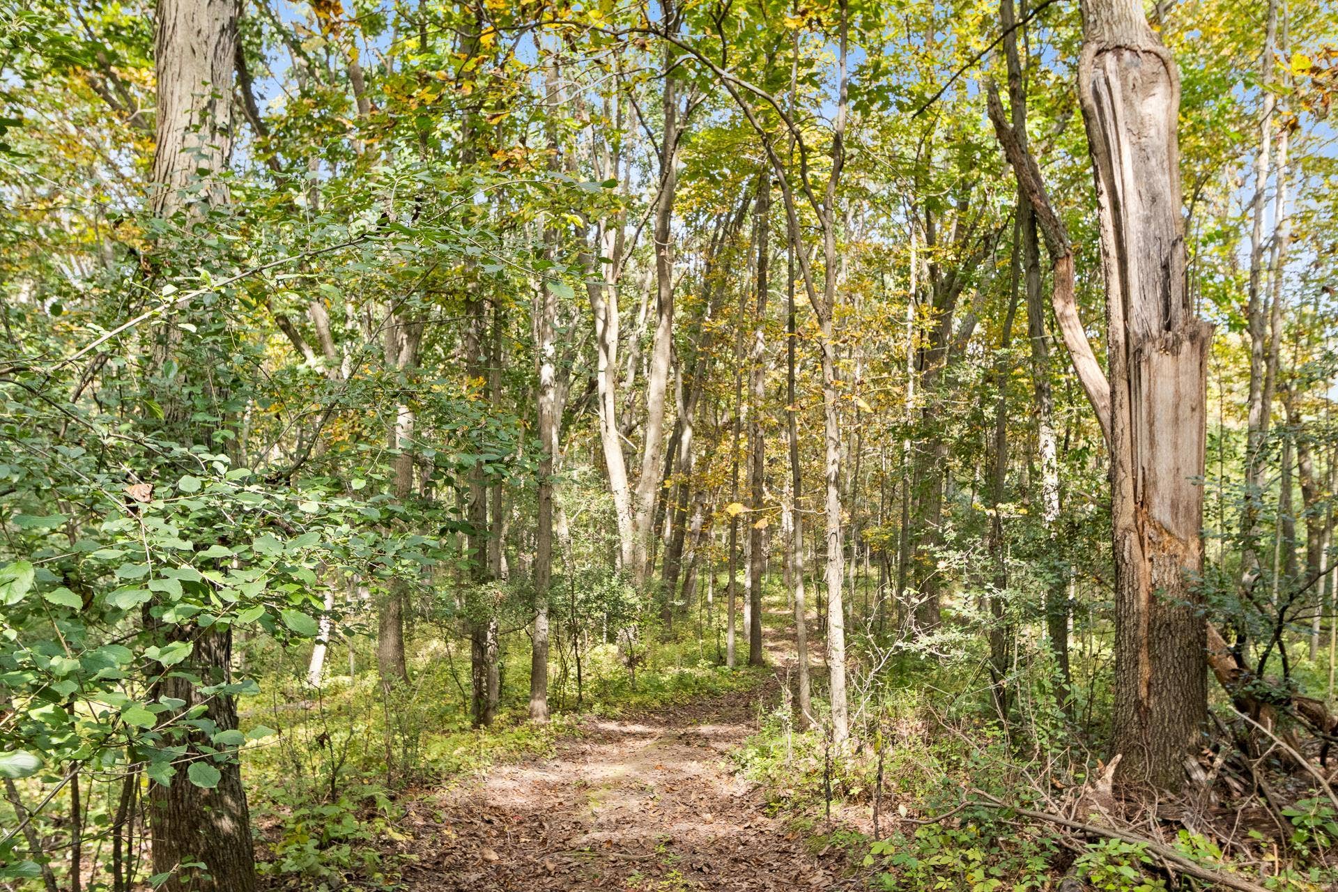 N8005 Ashley Road, Marcellon, WI 53901