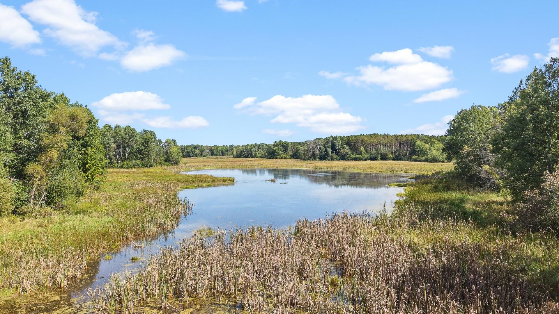 N8005 Ashley Road, Marcellon, WI 53901